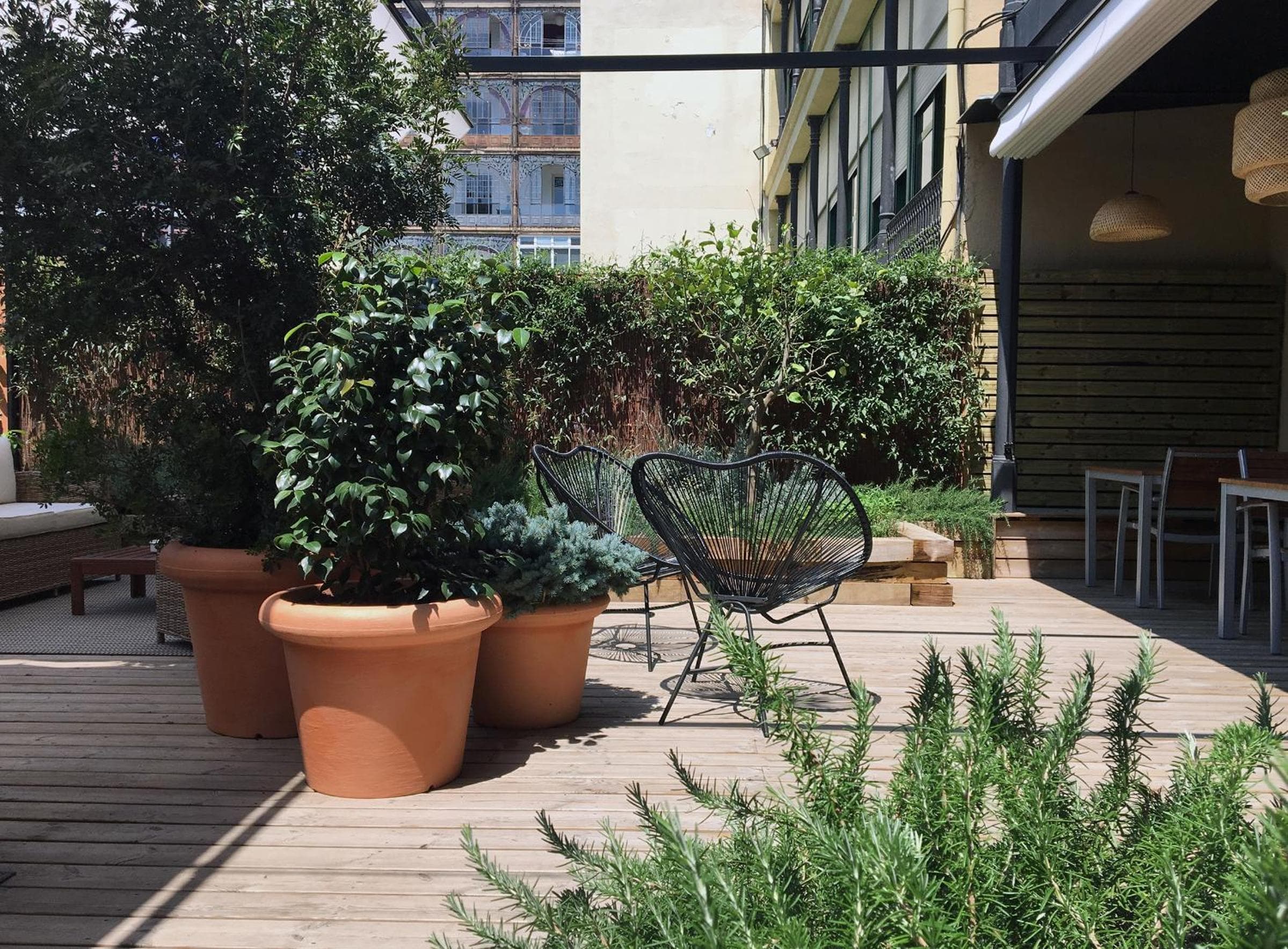 balance & terrace