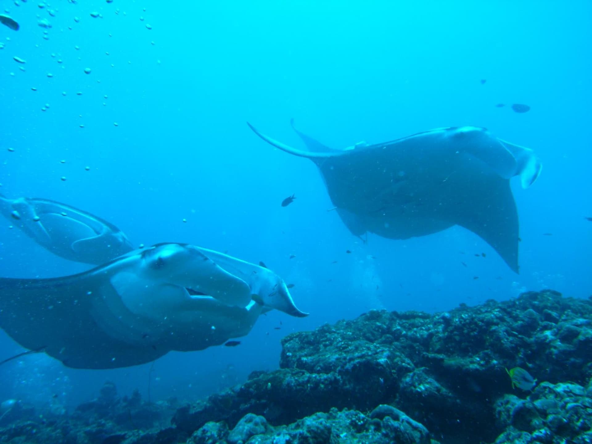 Adaaran Select Huduran Fushi - Free Dine around Premium All Inclusive 24 hours - 30 mins by Speedboat