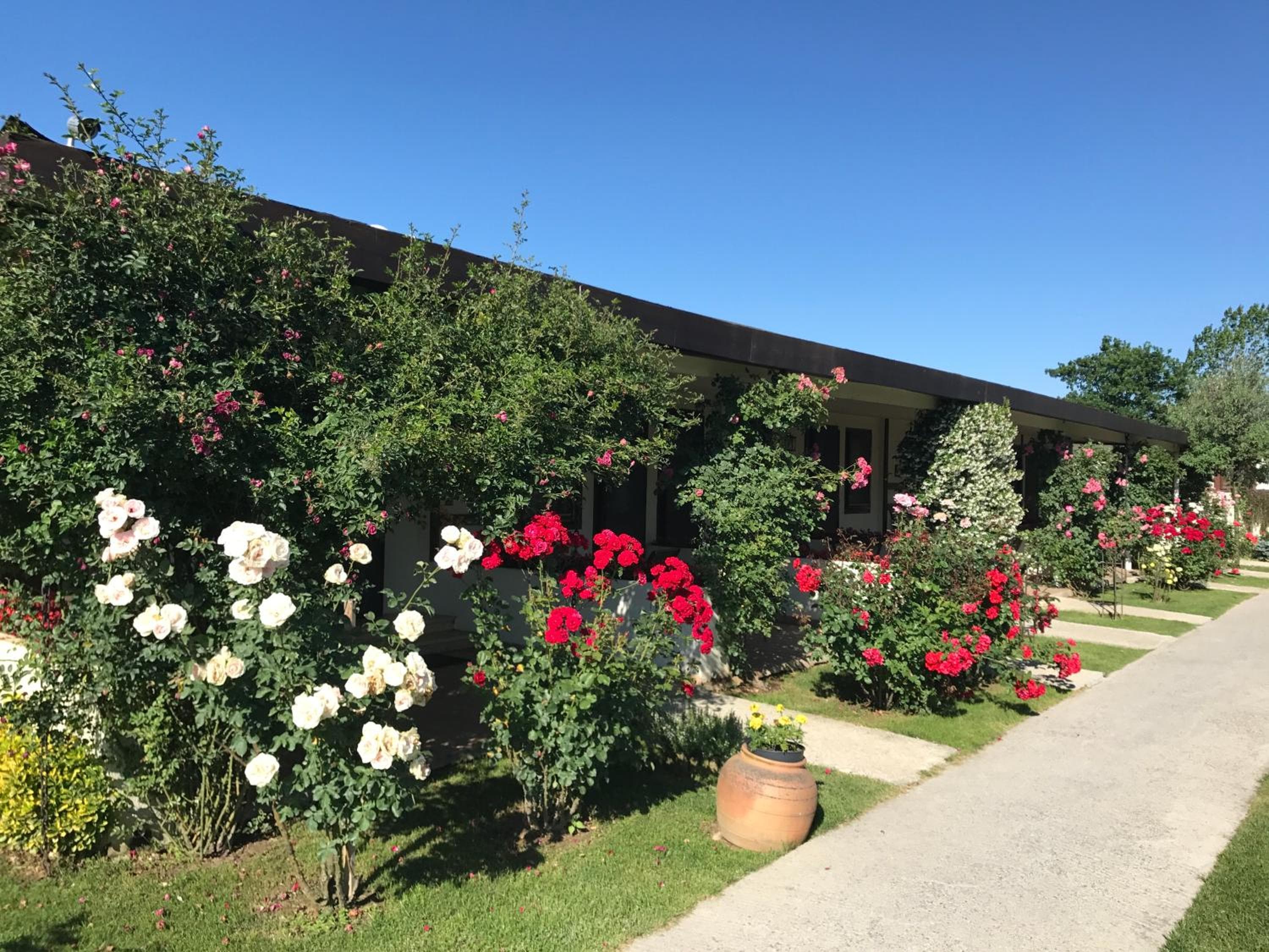 Riva's Club Hotel