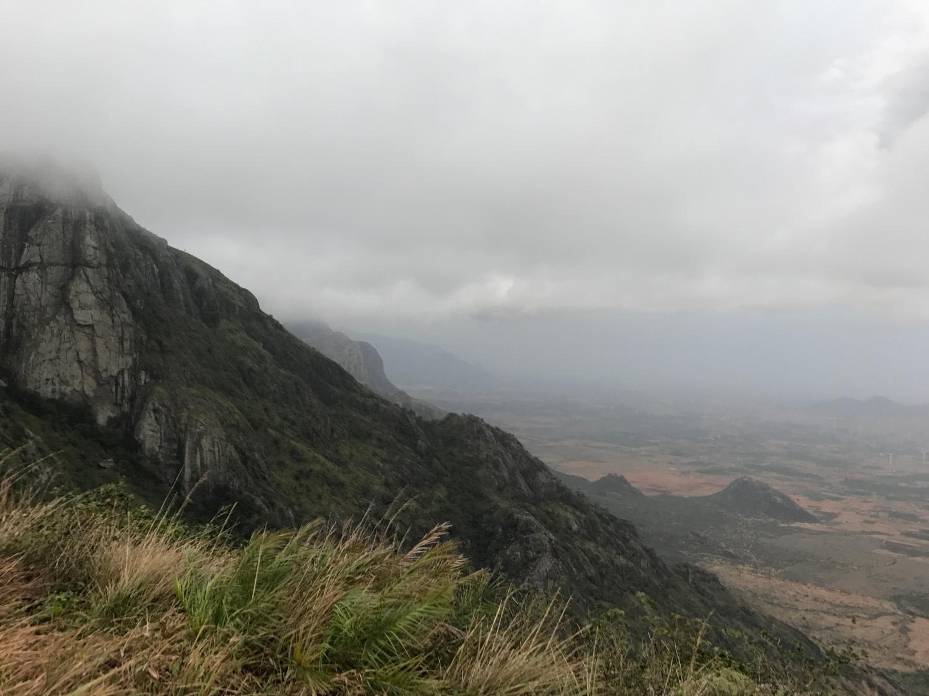 31st December Farms And Estates Munnar