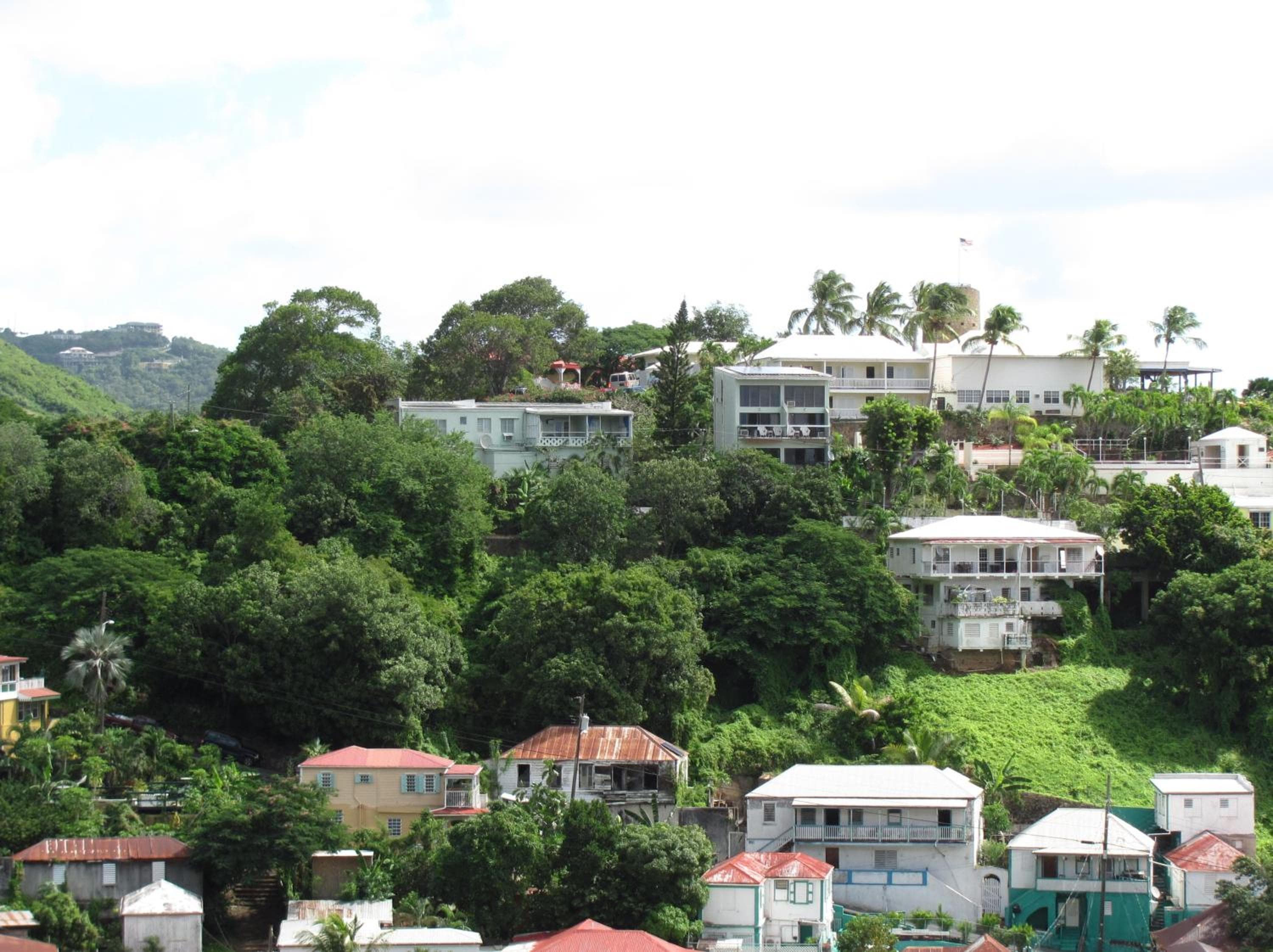 The Green Iguana Hotel