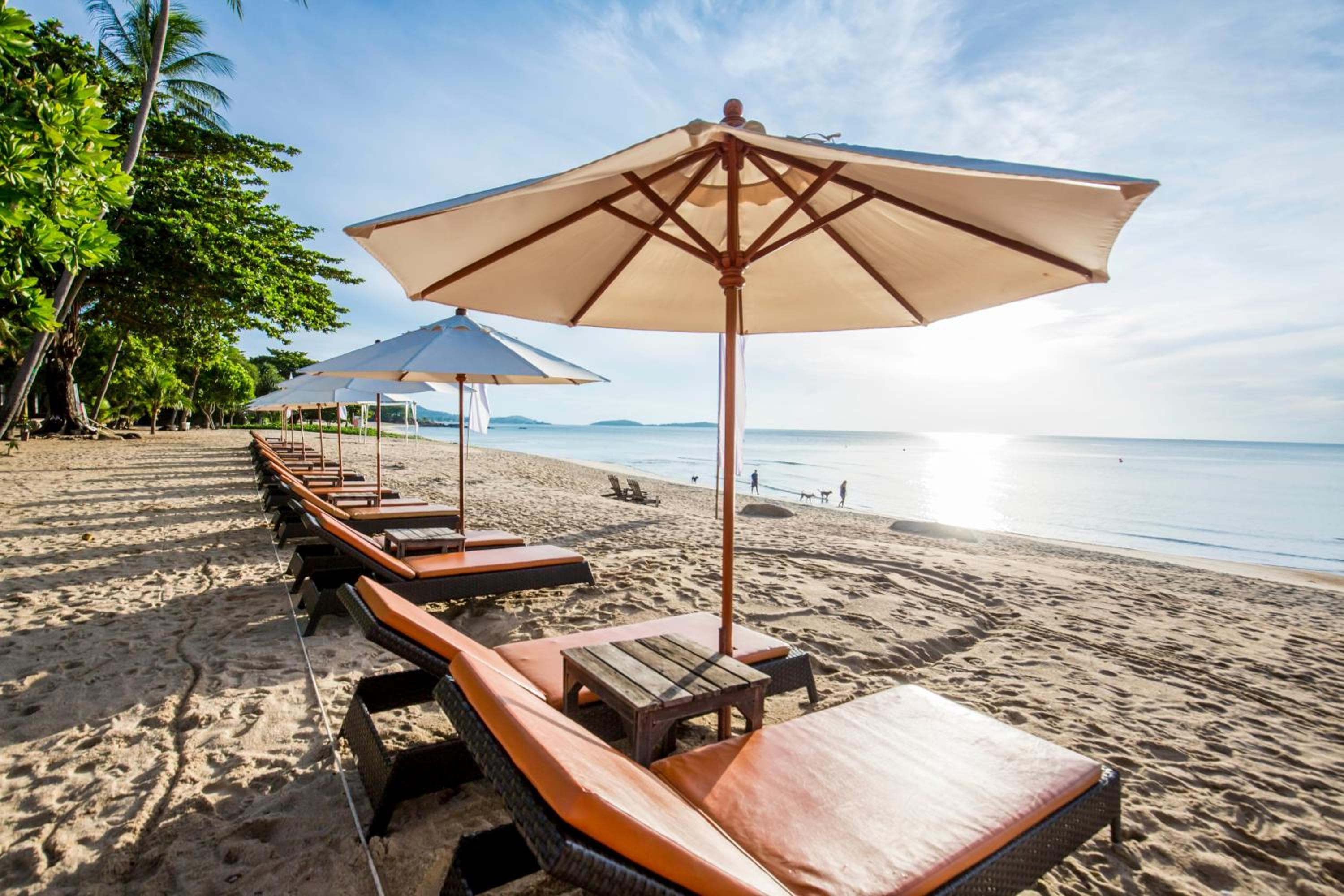 New Star Beach Resort