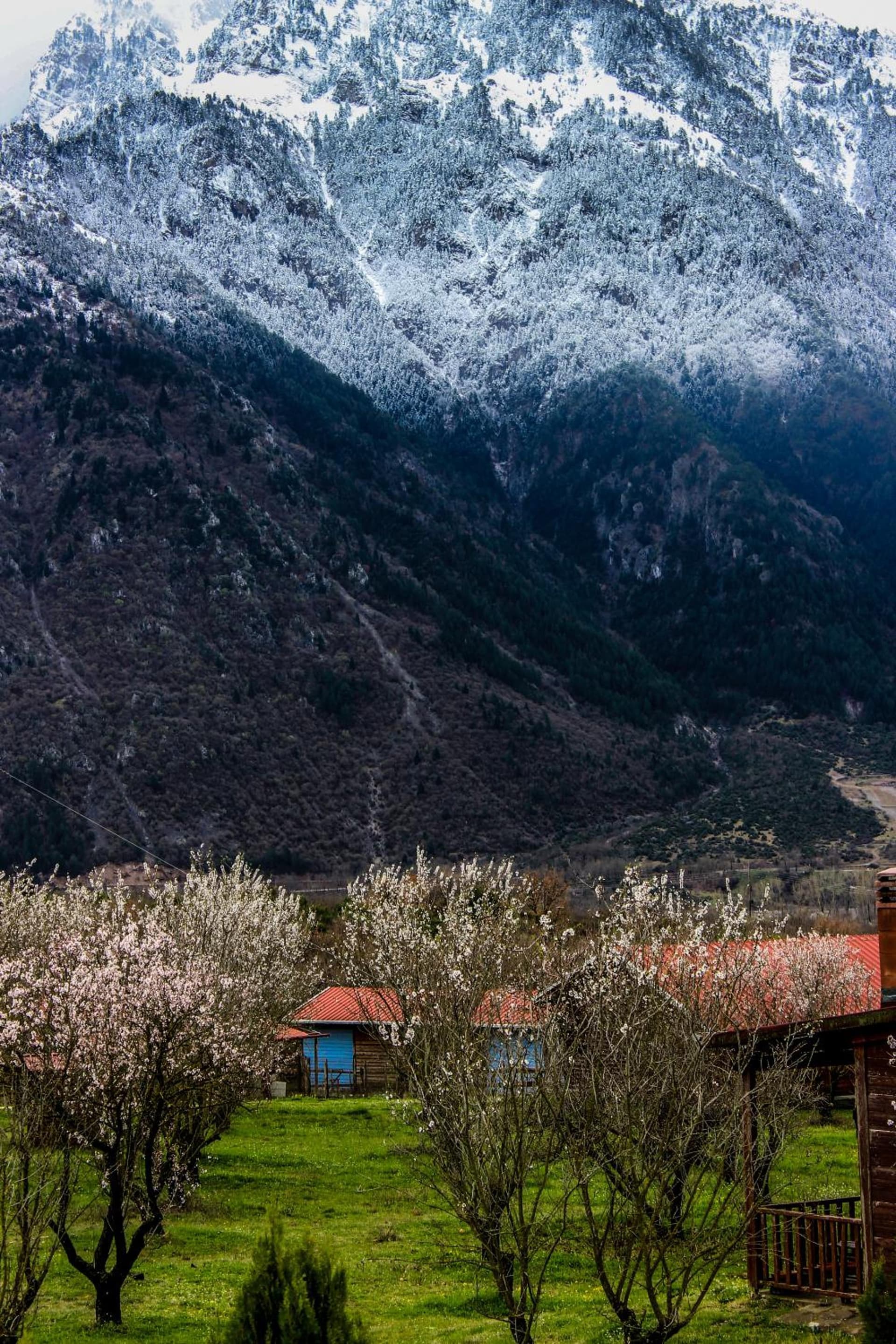 Villa Rustica