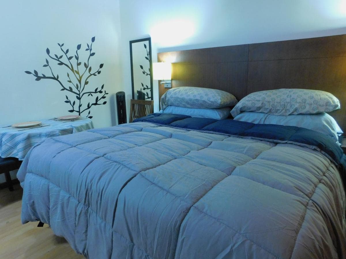 Modern Studio Loft Apt King Bed 10 min frm airport