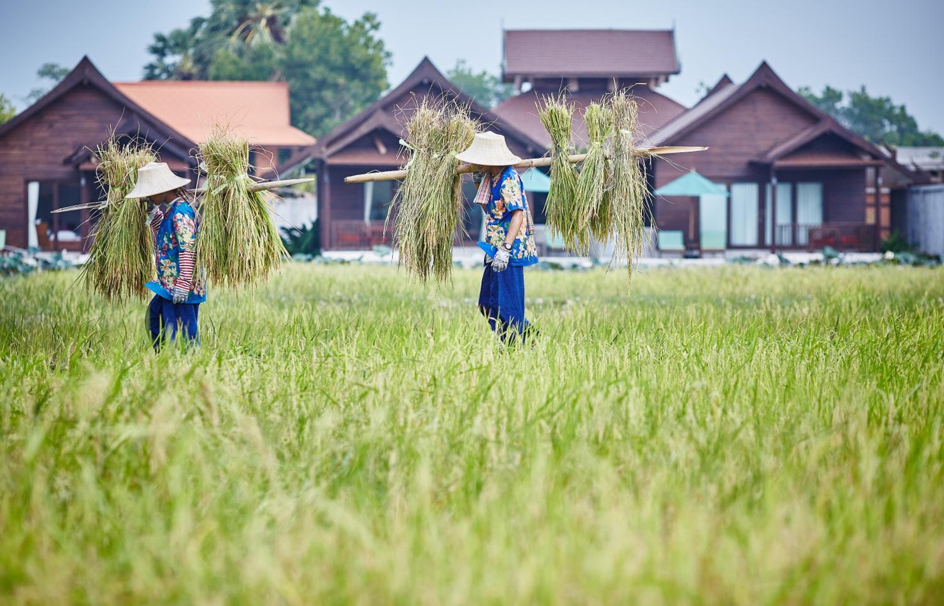 Farmers Villa