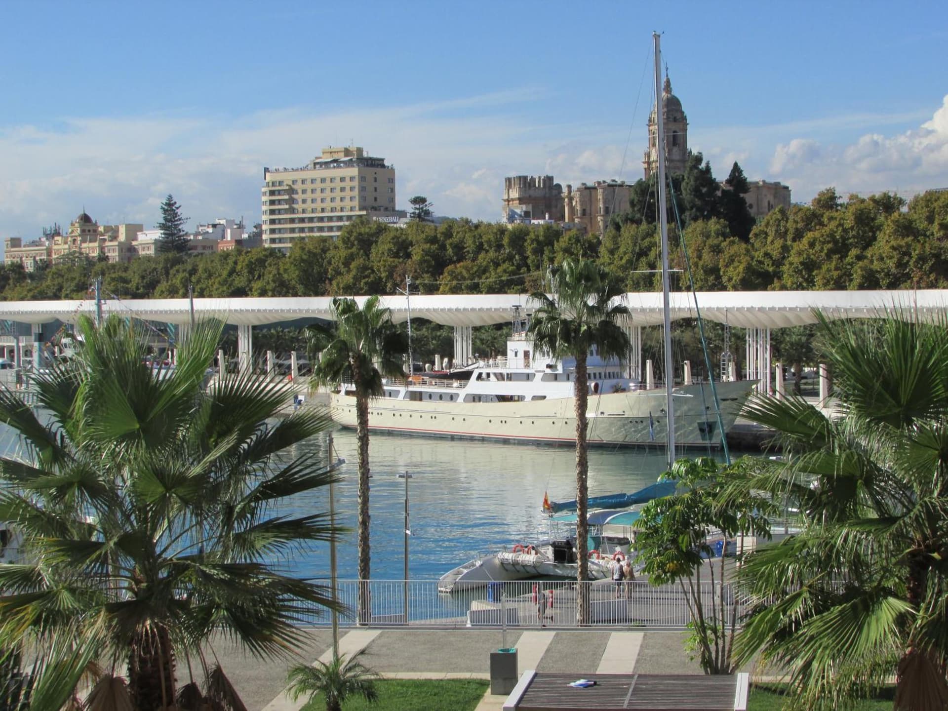 INMálaga Félix Sáenz