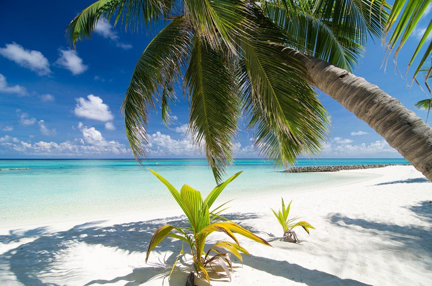 Summer Island Maldives