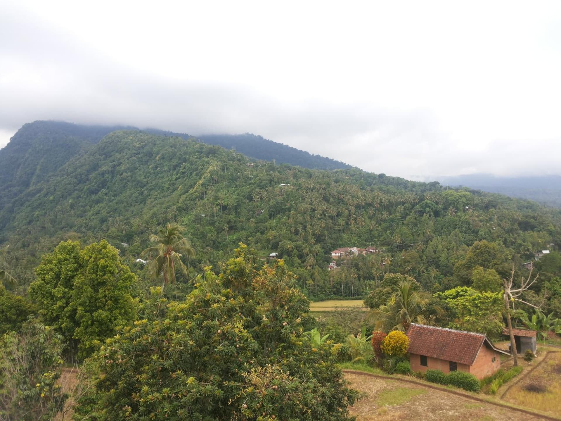 DWM ESA di Kubu Homestay By Reccoma