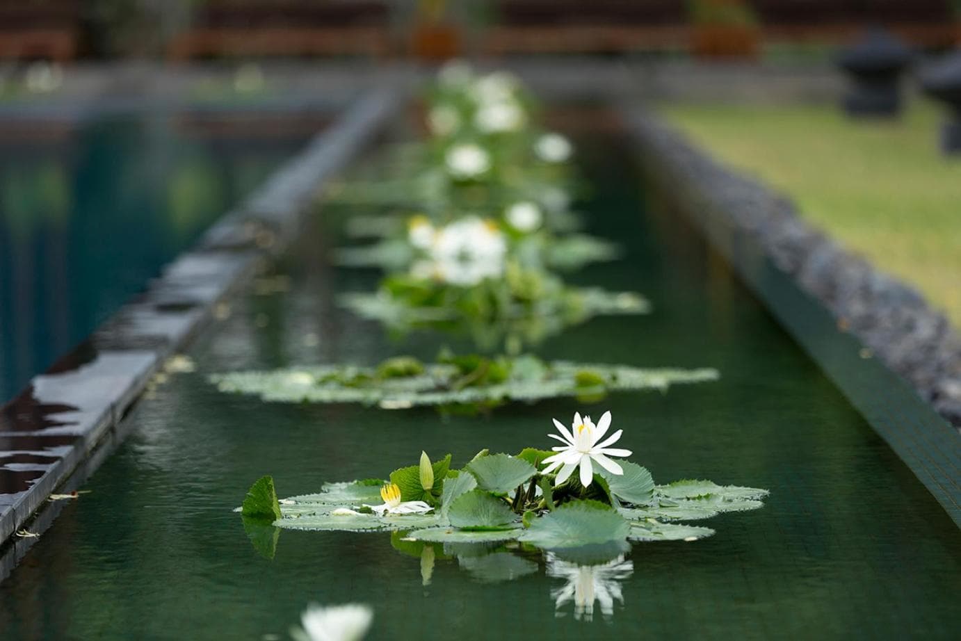 Anantara Chiang Mai Resort