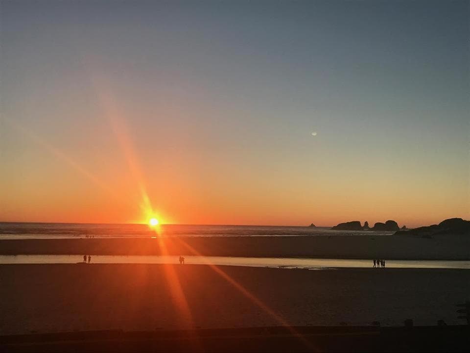 Webb's Scenic Surf