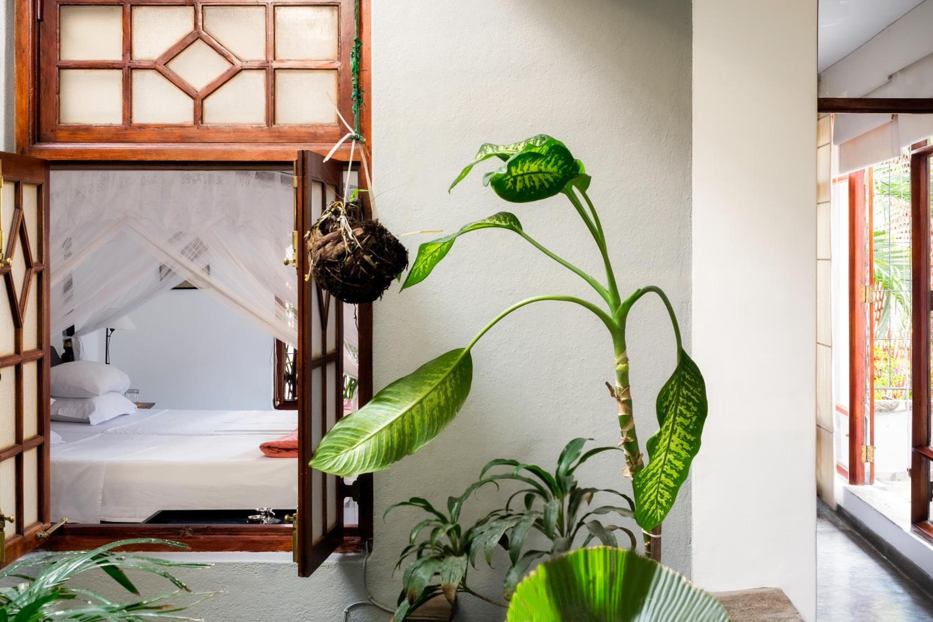 Mount Lodge Boutique Hotel