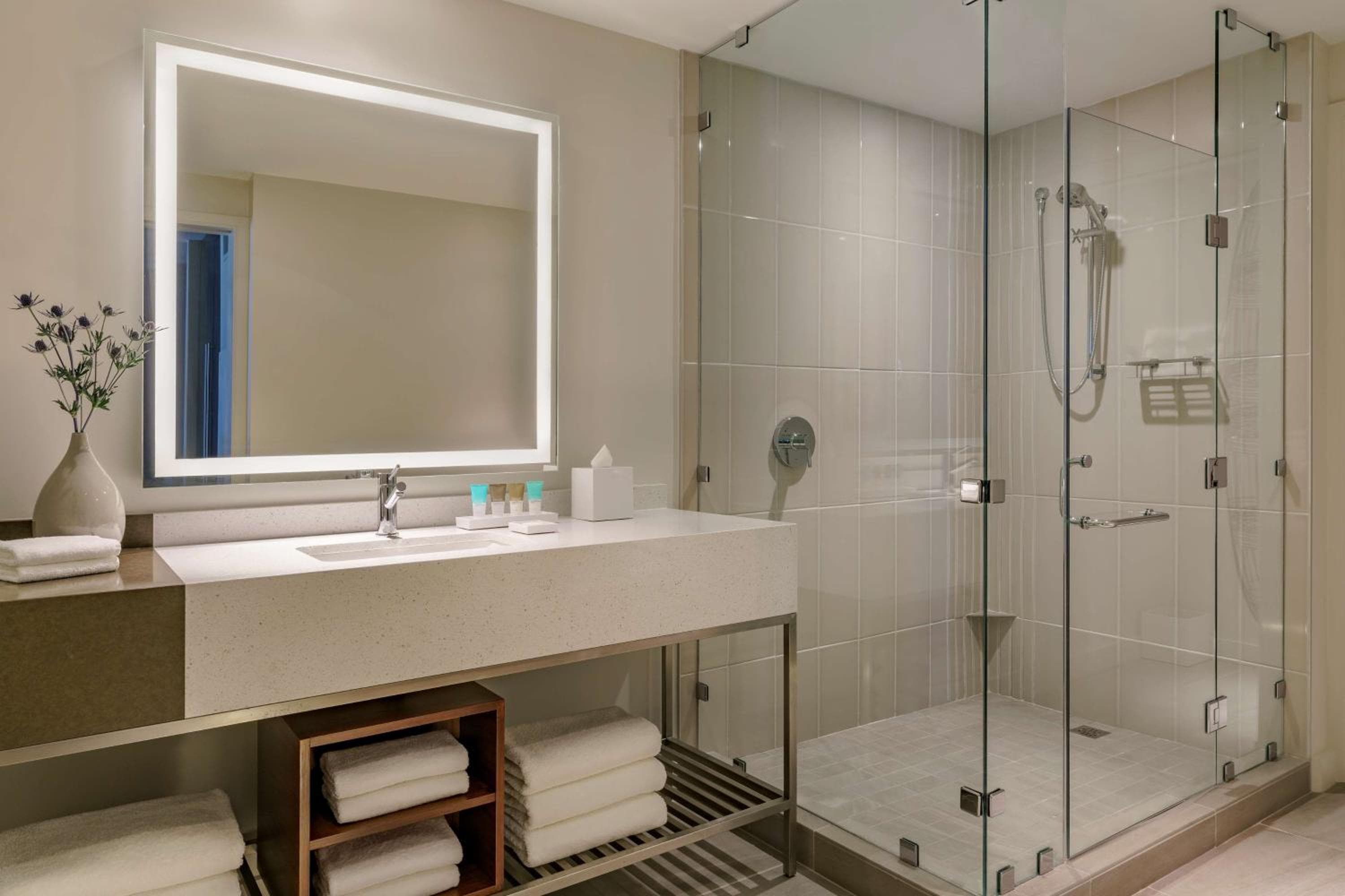 Hyatt Regency Houston Galleria