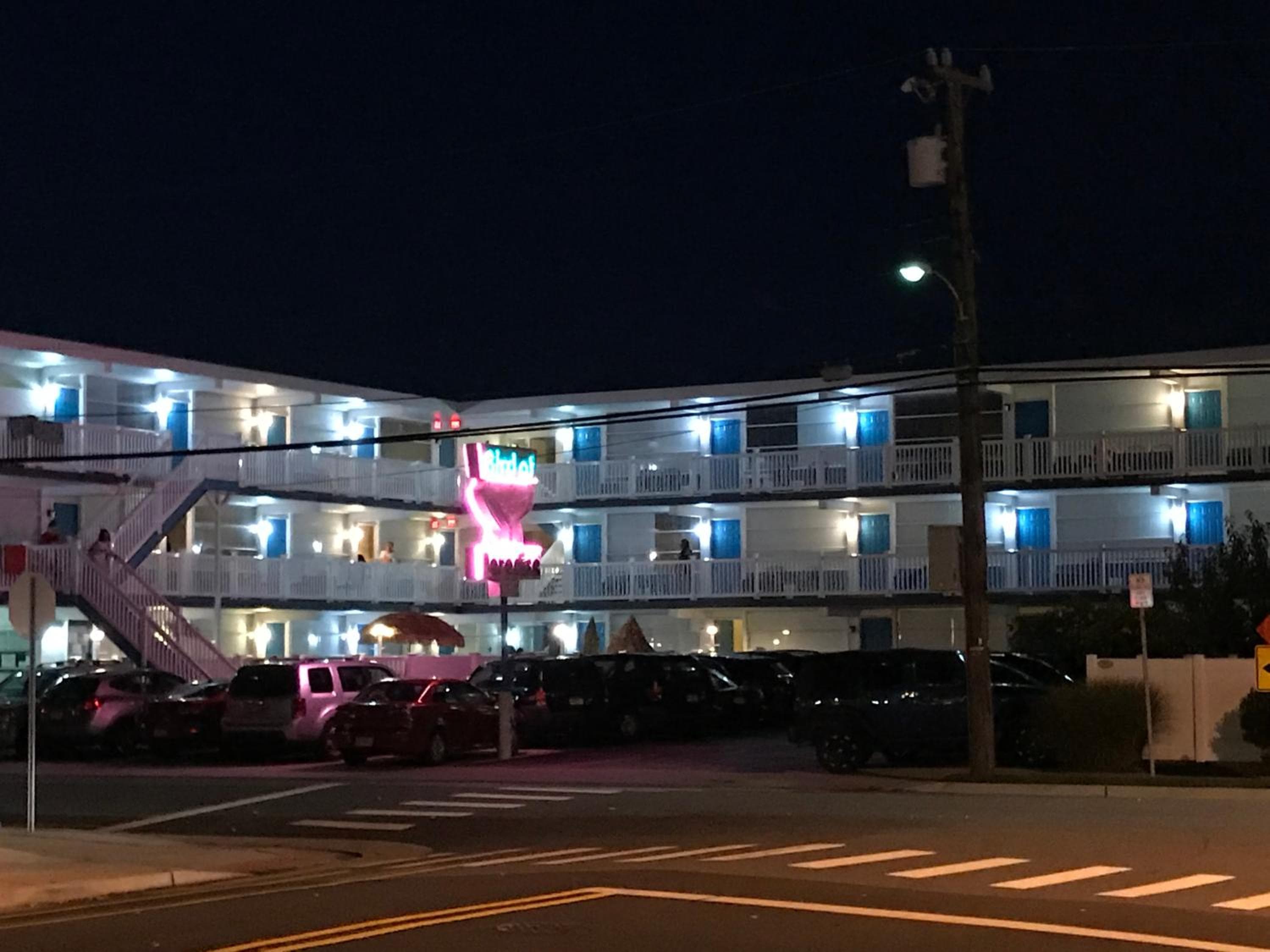 Bird of Paradise Motel