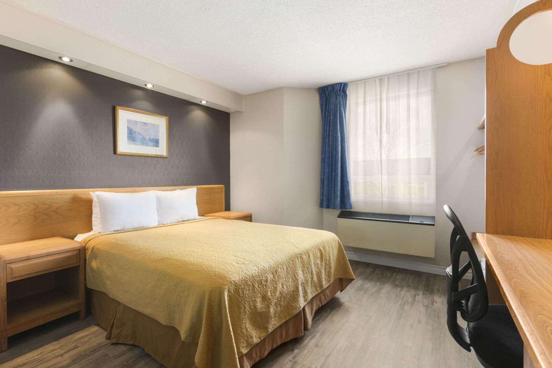 Spark by Hilton Brockville