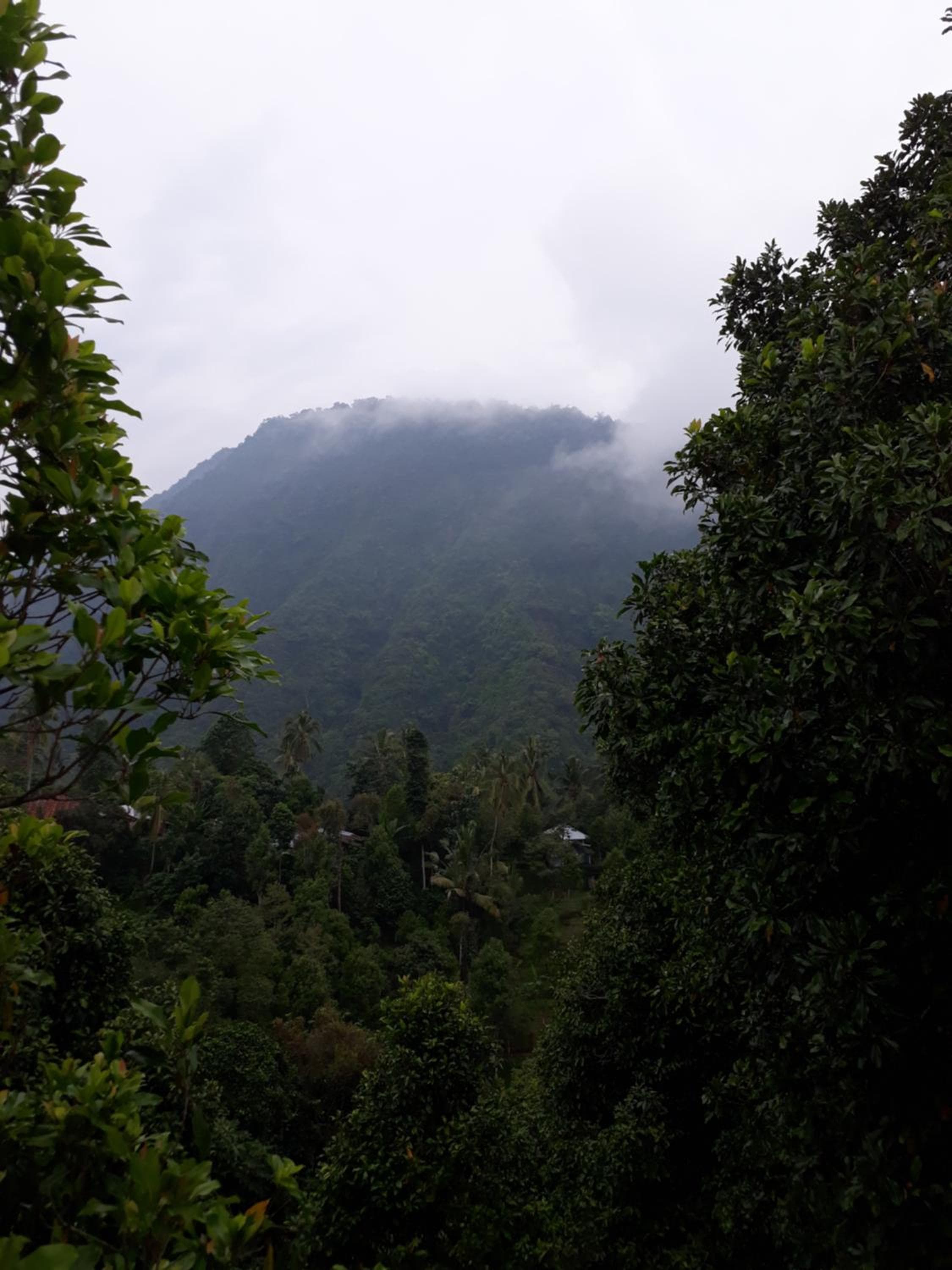 Sugi Gede Homestay
