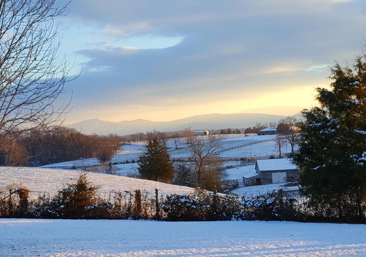 Piney Hill Cottages