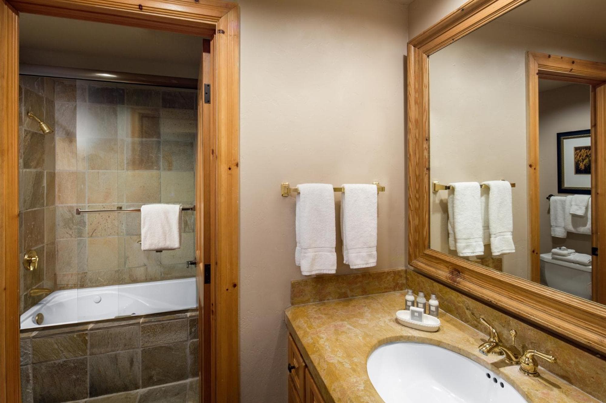 Mountain Lodge Telluride
