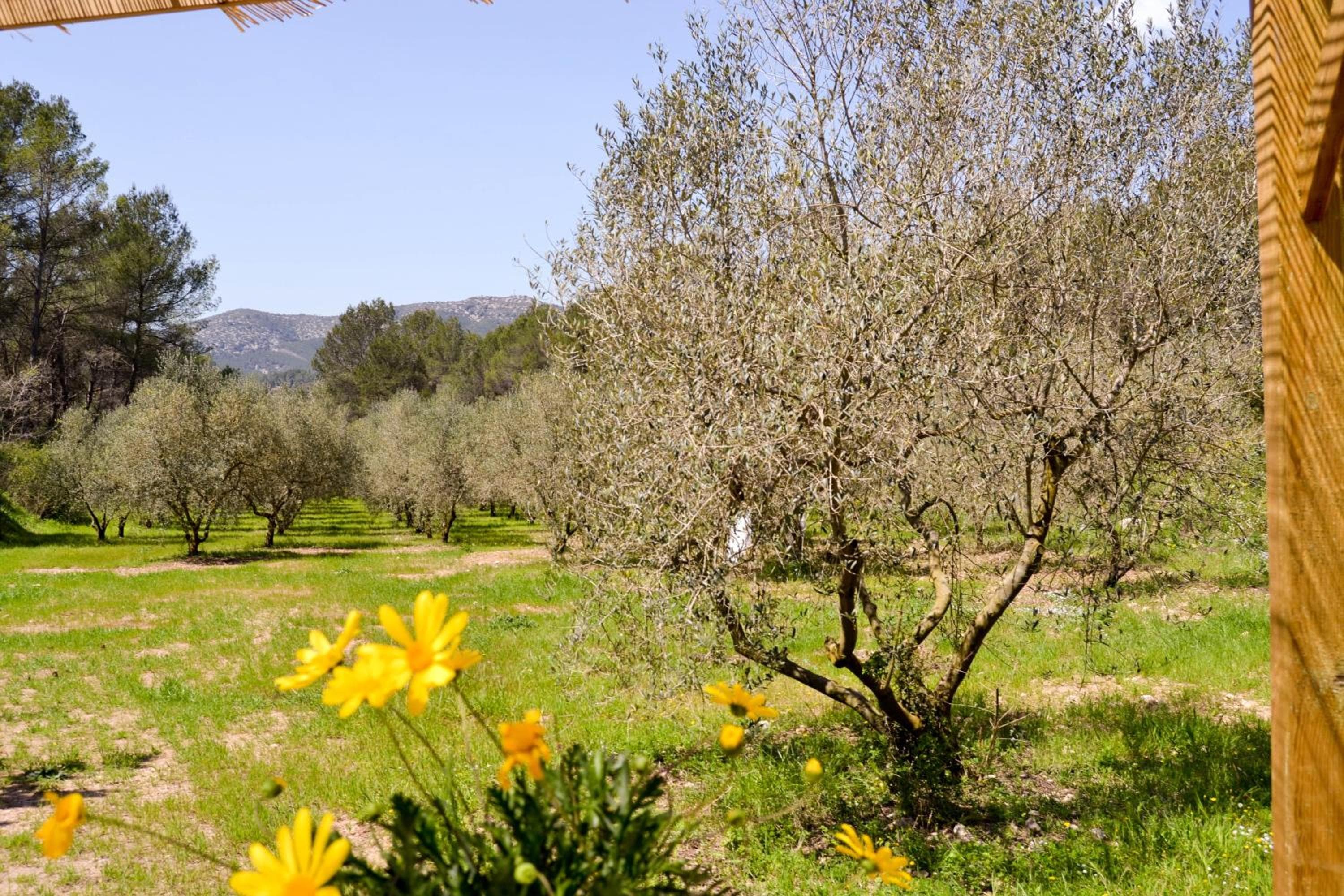 Masía Les Pasoles