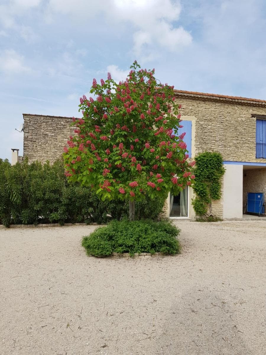 La Pastorale