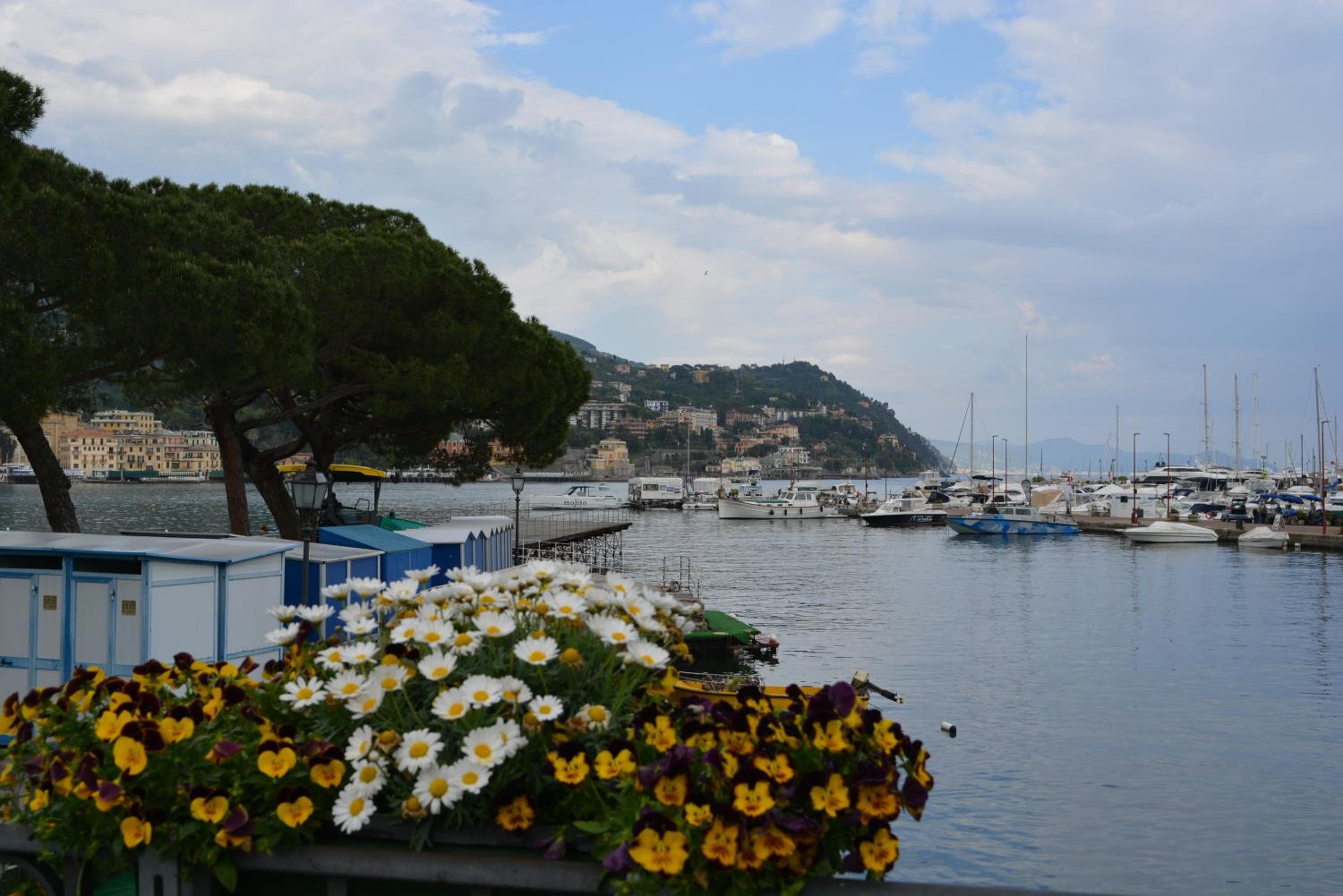ilGirasole b&b