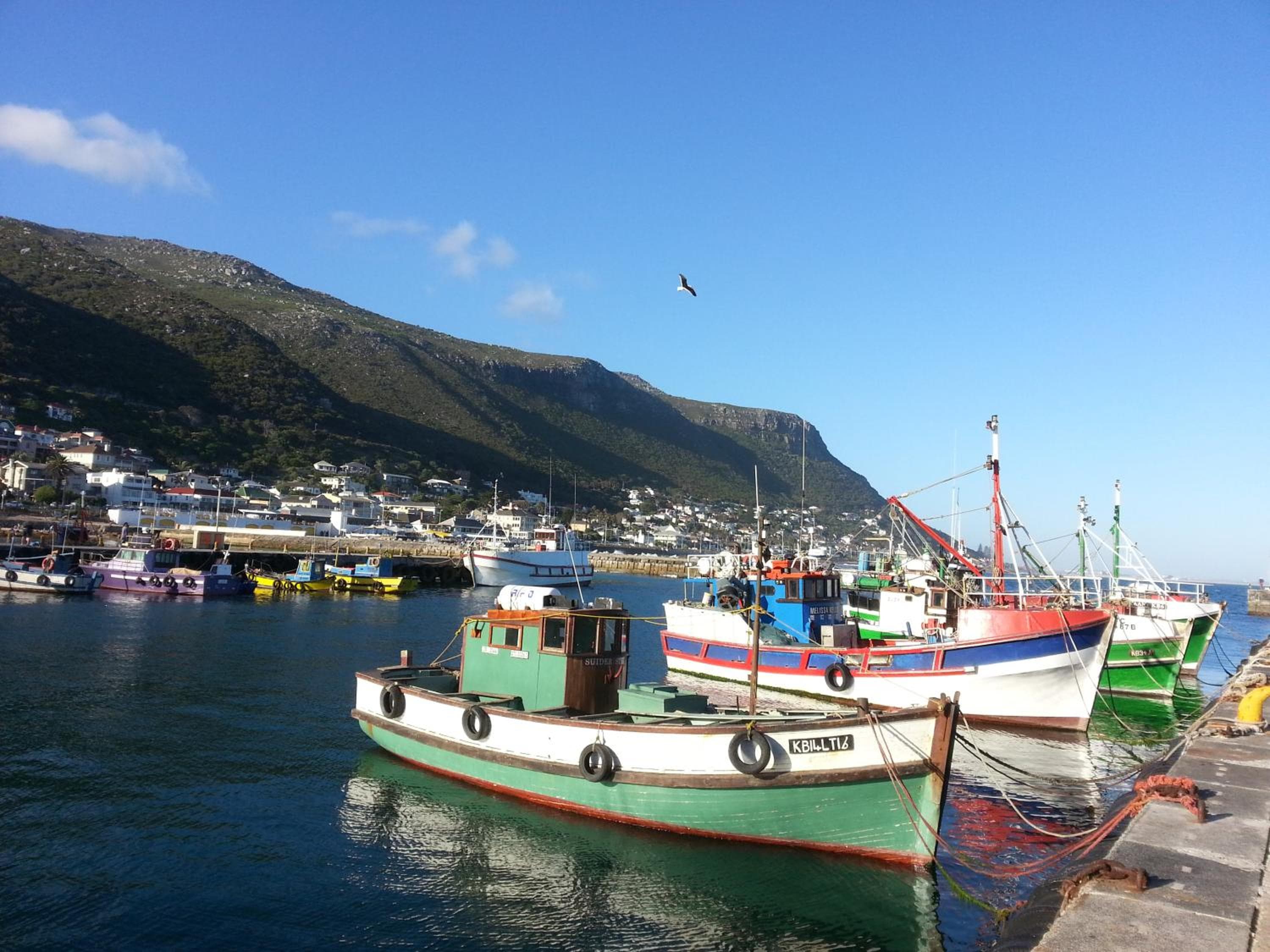 Harbour Views
