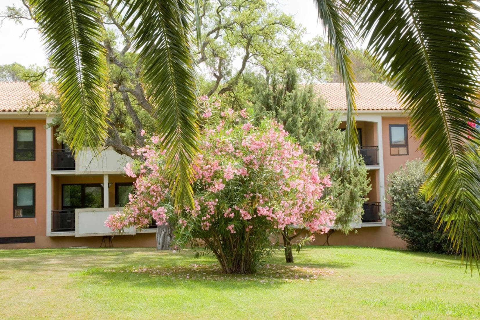 Golf Hôtel de Valescure & Spa NUXE
