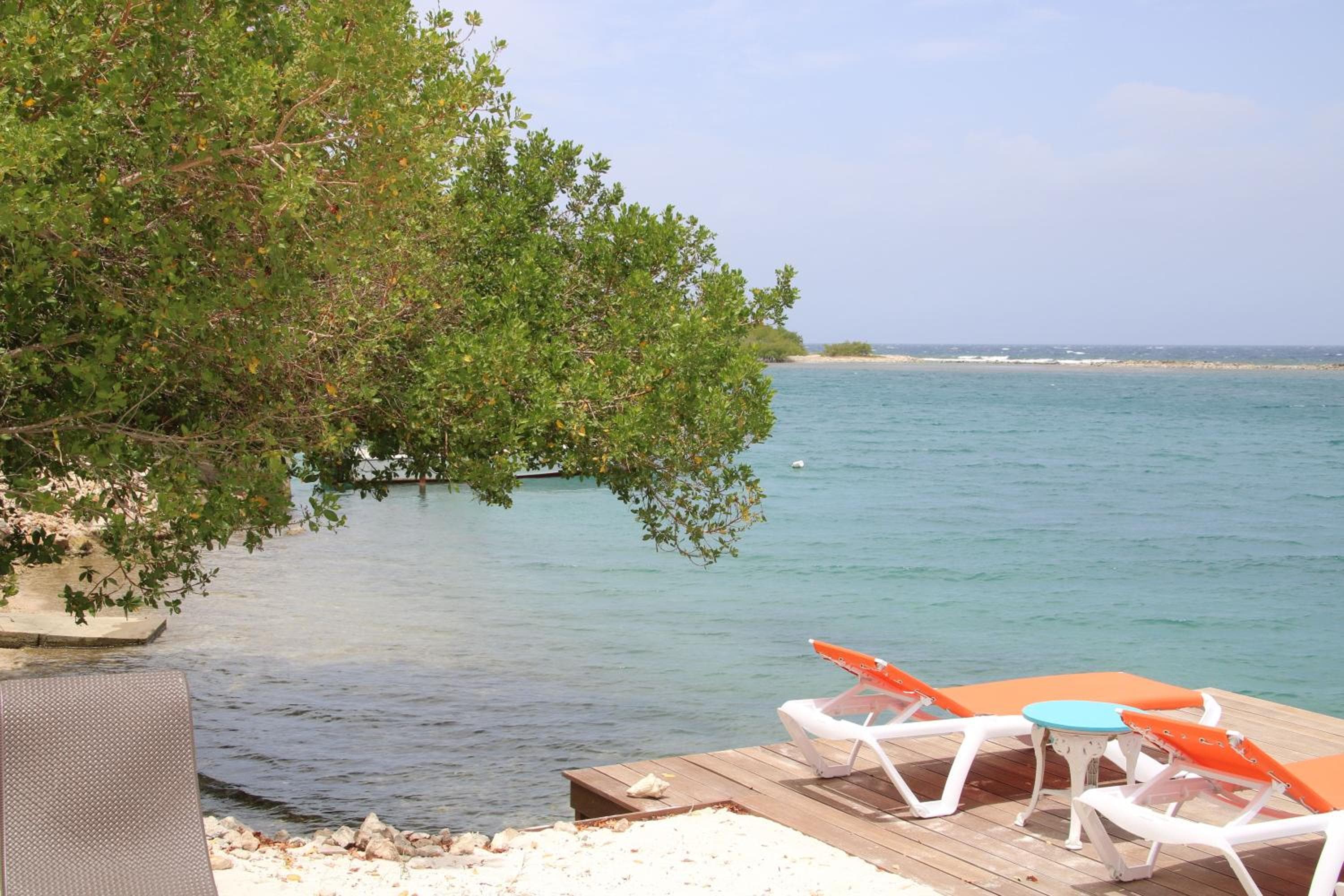 Coral Reef Beach