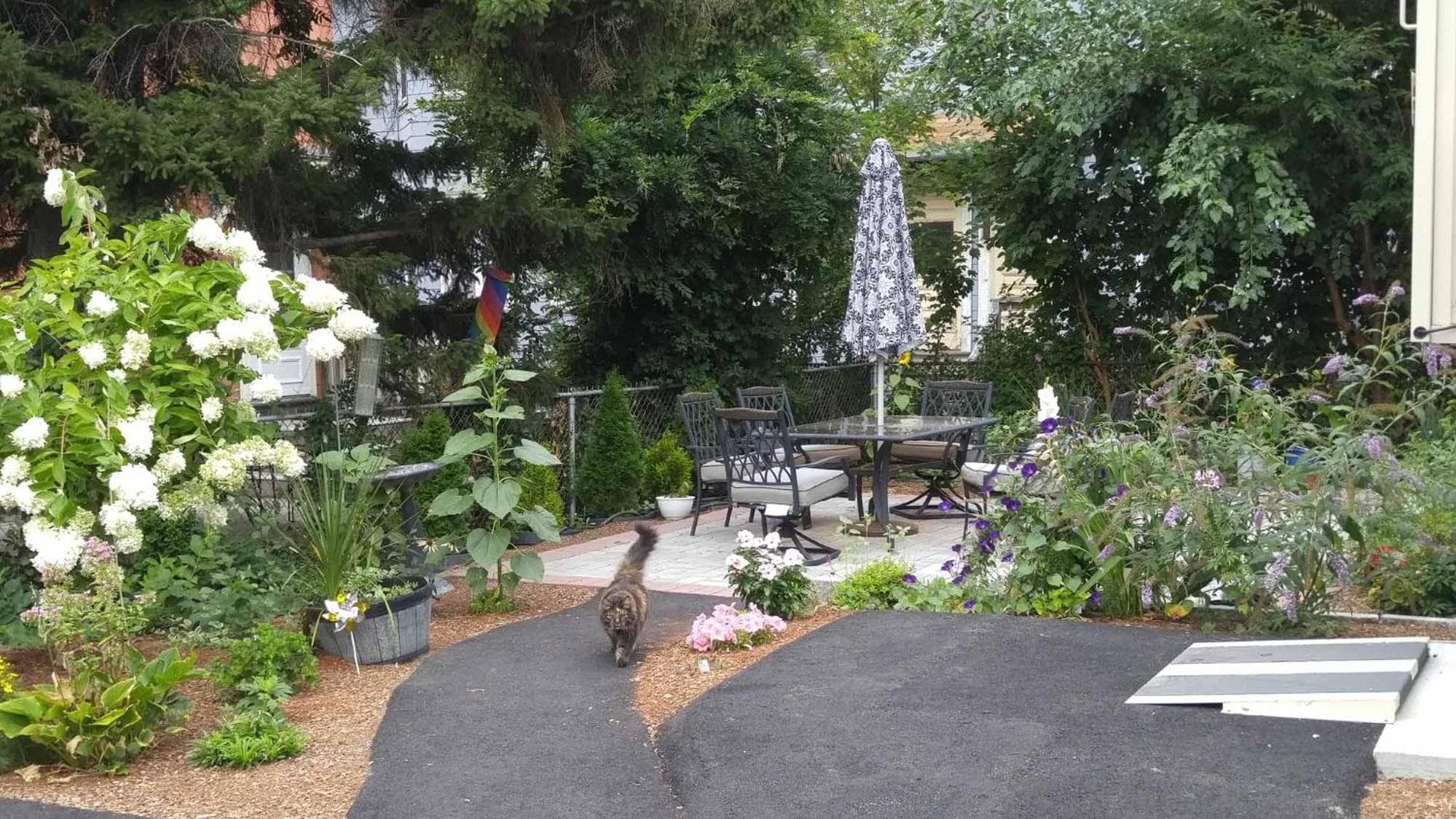 Davis Square Inn