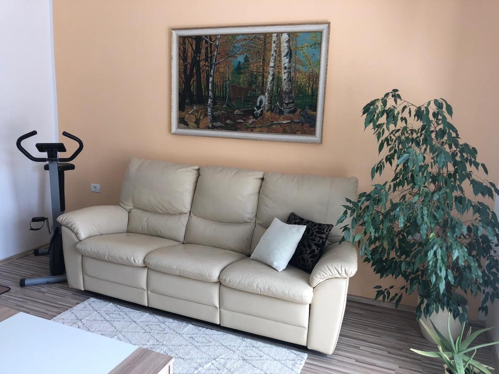 Apartma Mahnič