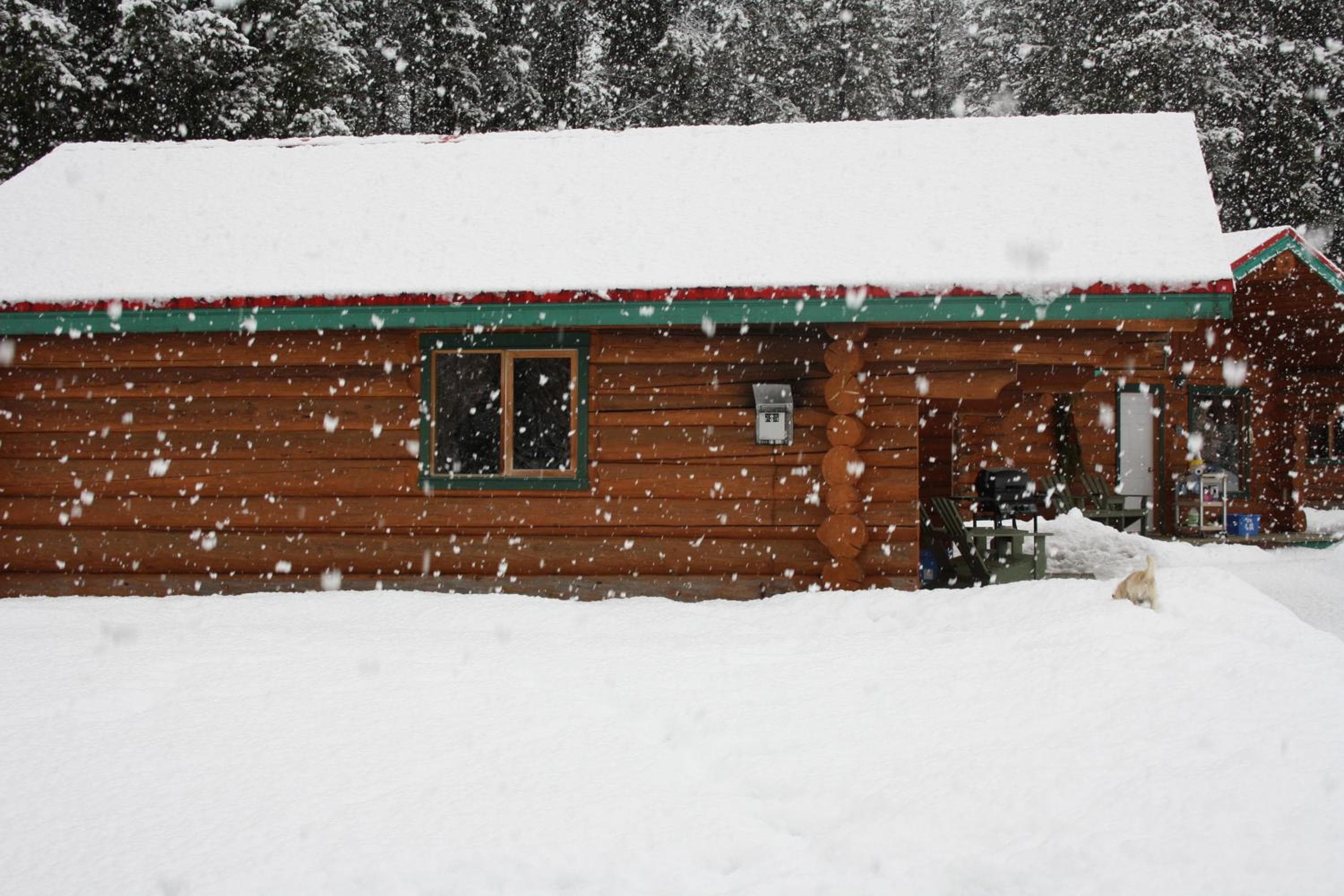 Twin Peaks Hotel Cabins