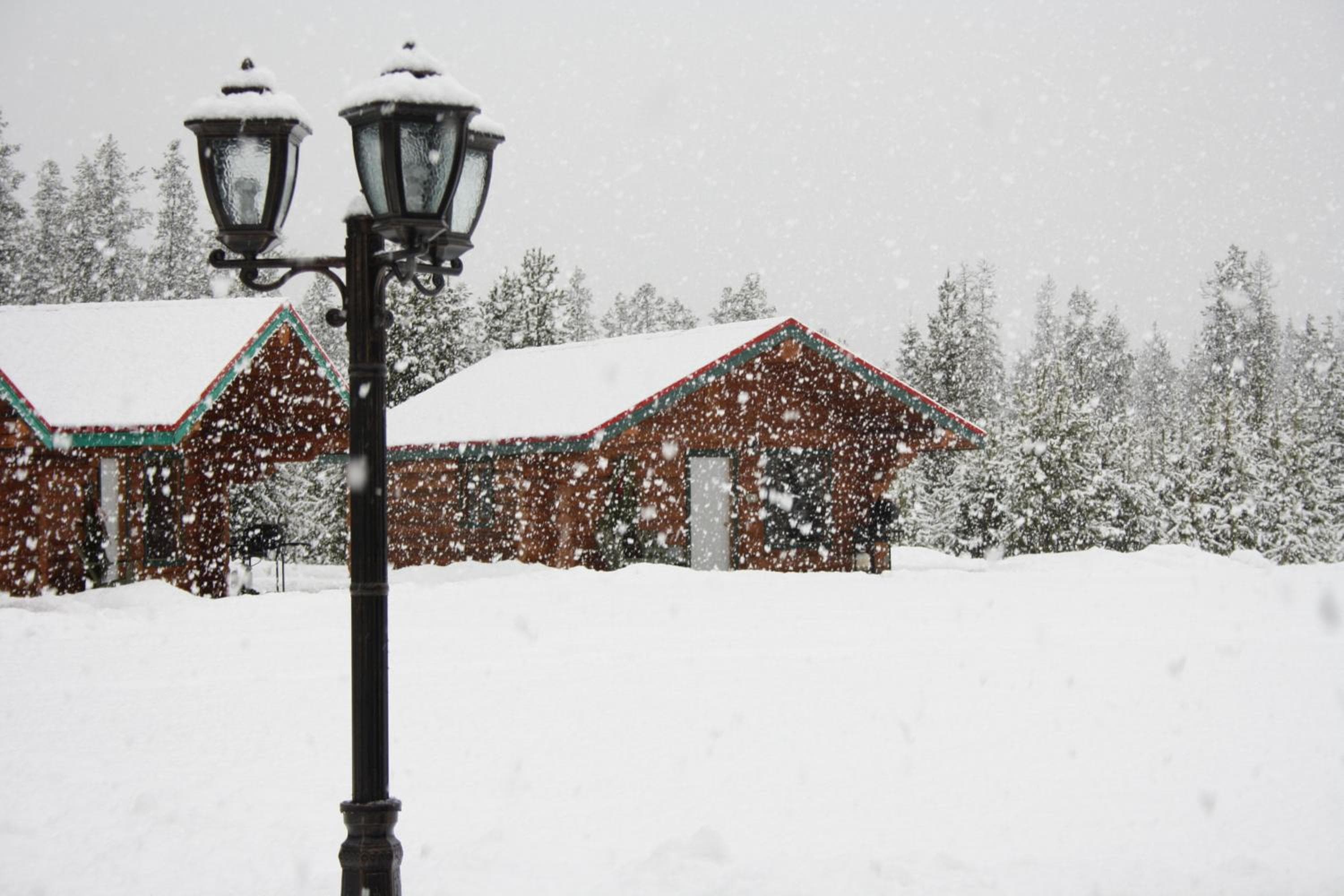 Twin Peaks Hotel Cabins