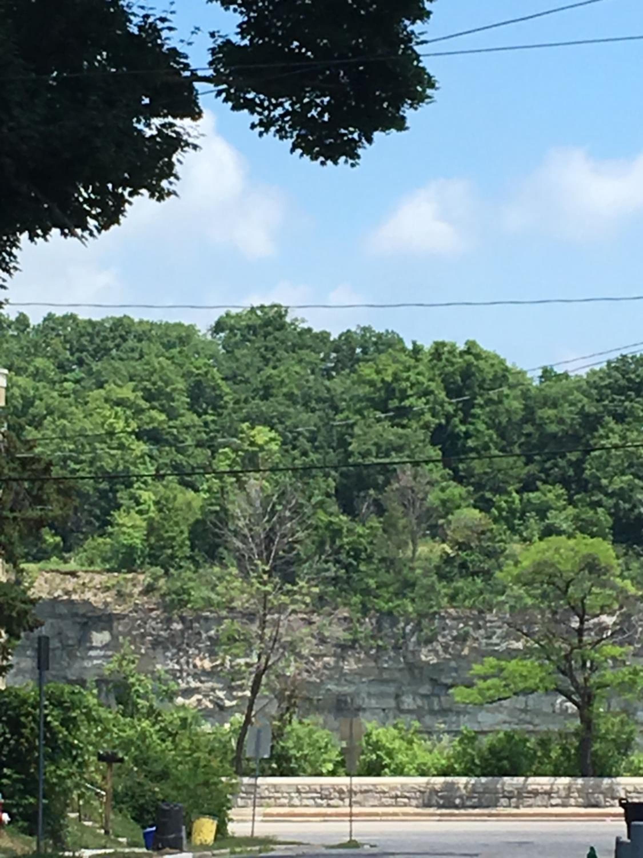 Your Oasis in Niagara Falls Canada