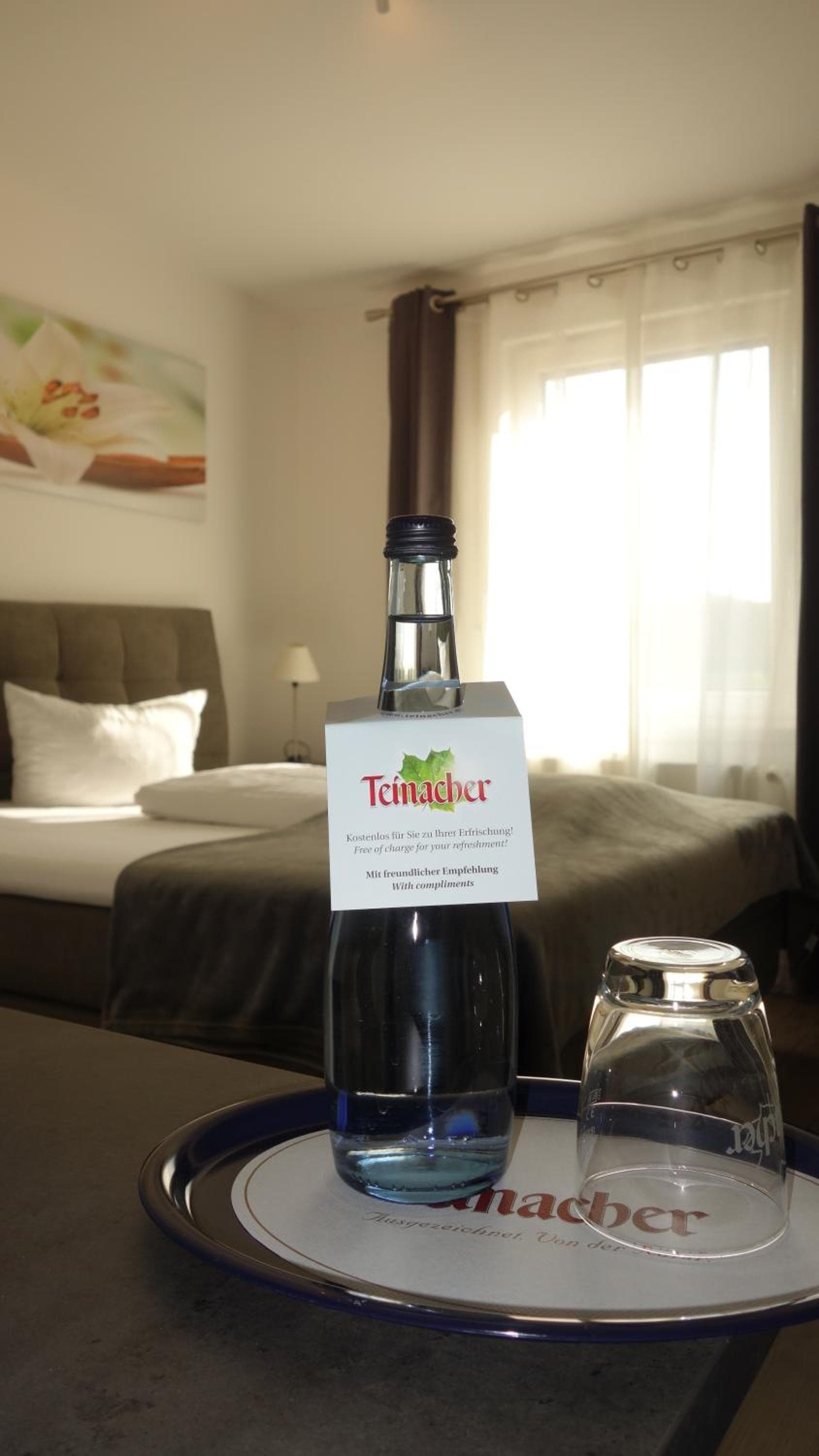 Hotel Restaurant Erbprinz Walldorf