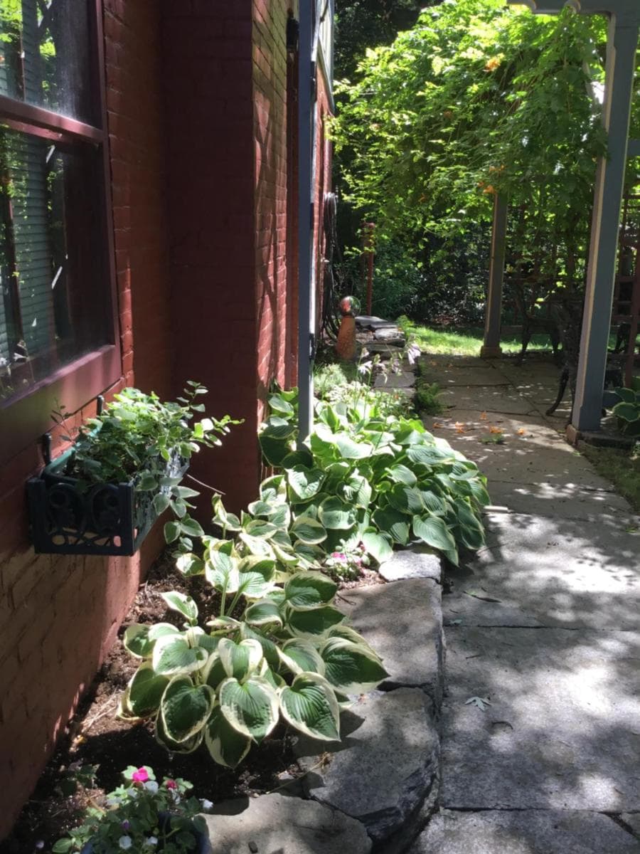 Amherst Inn