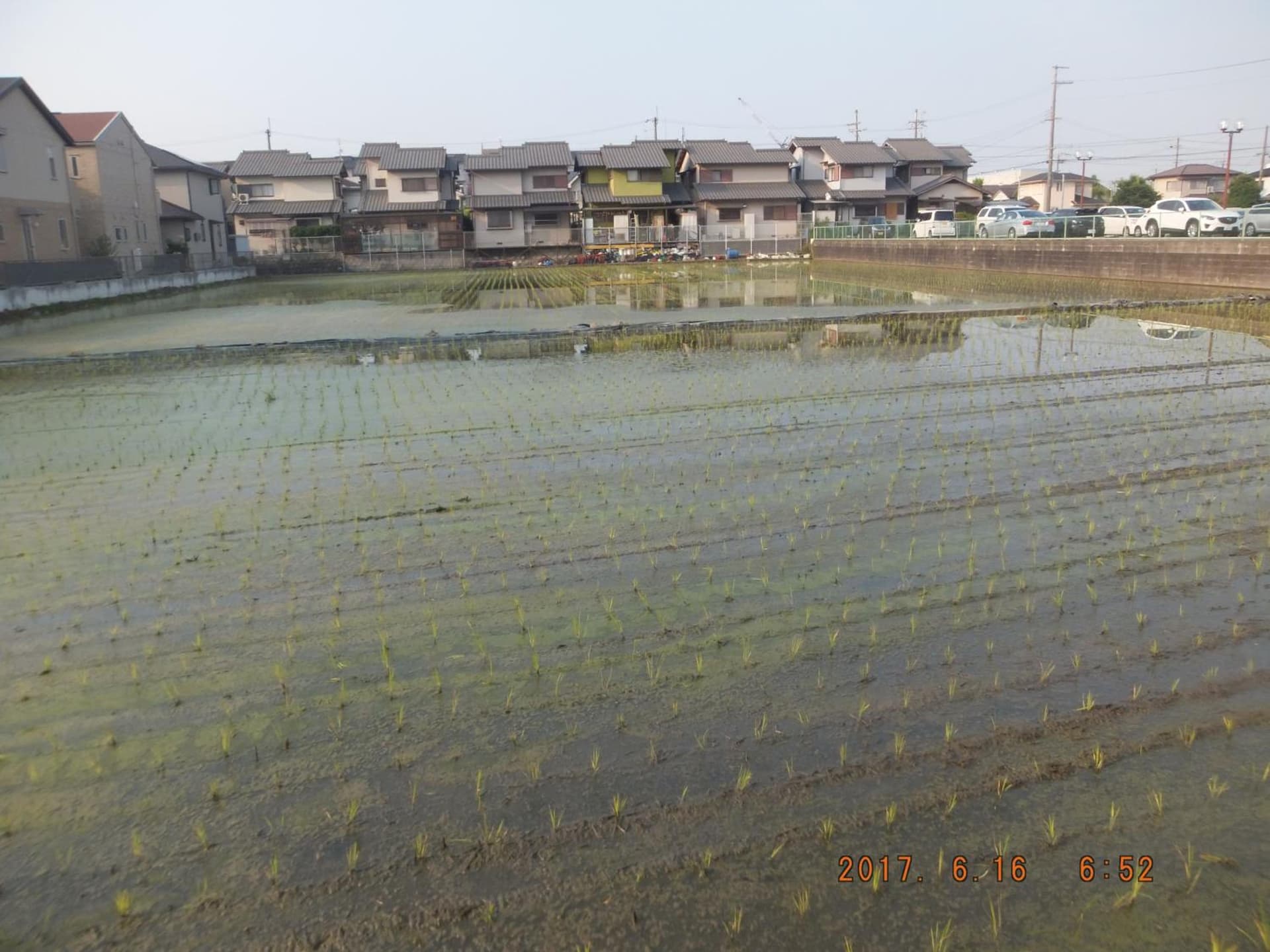 Hirakata-park Guesthouse