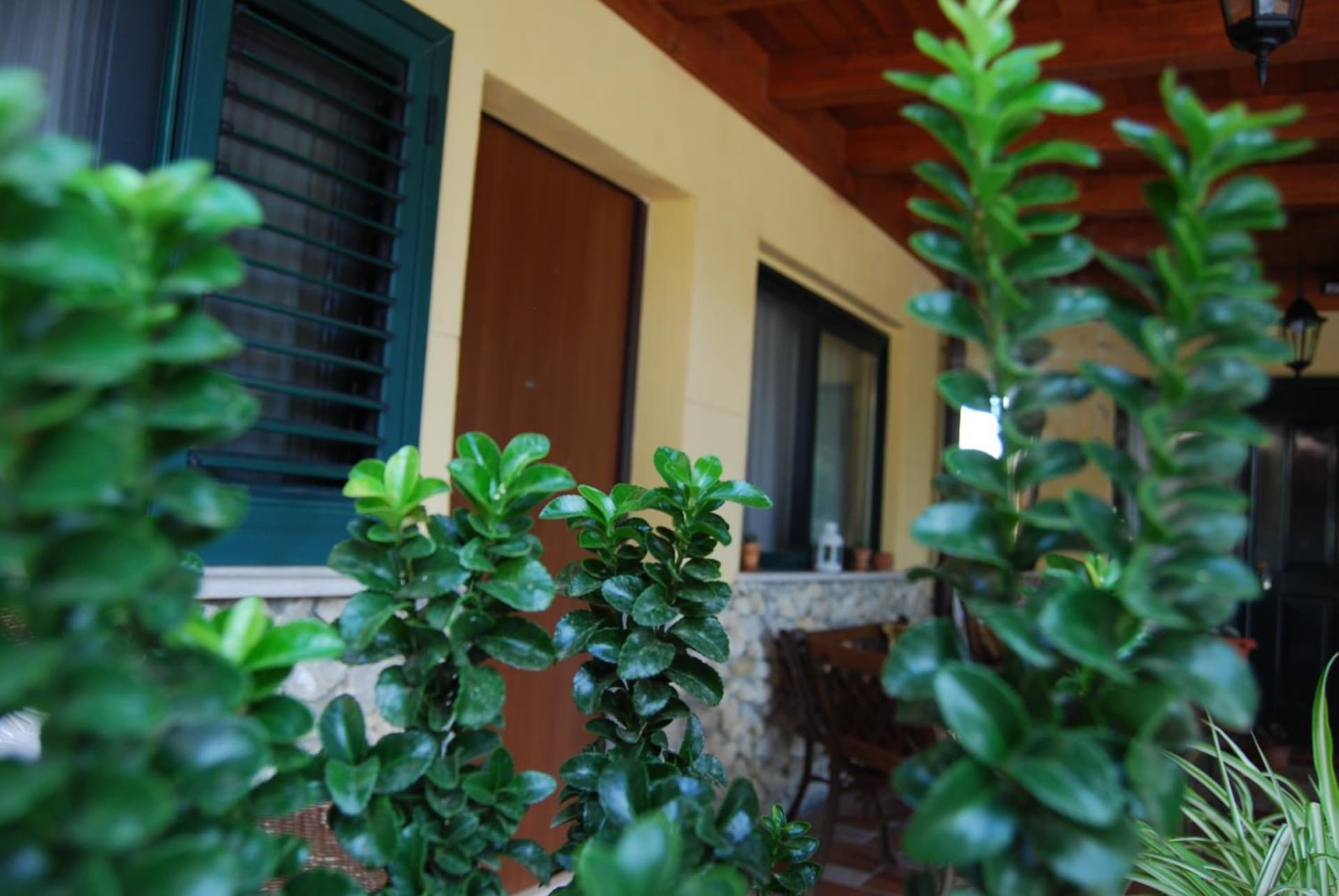 ***** La casa di Giò
