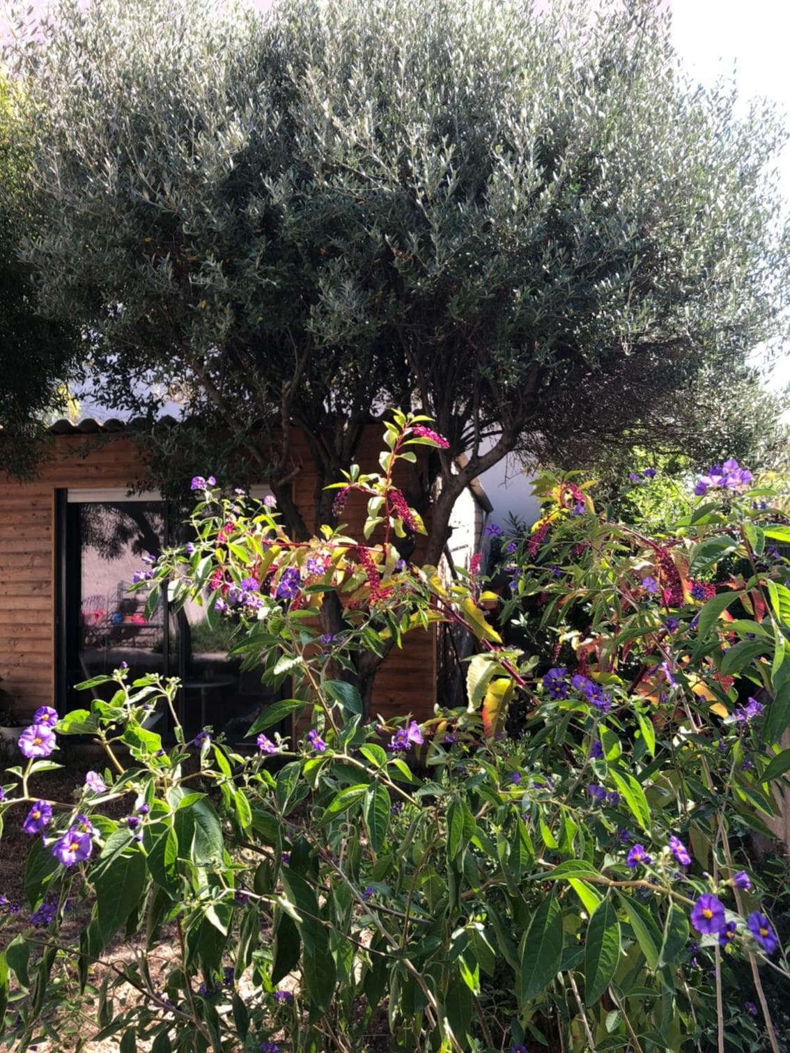 2 appartements calmes