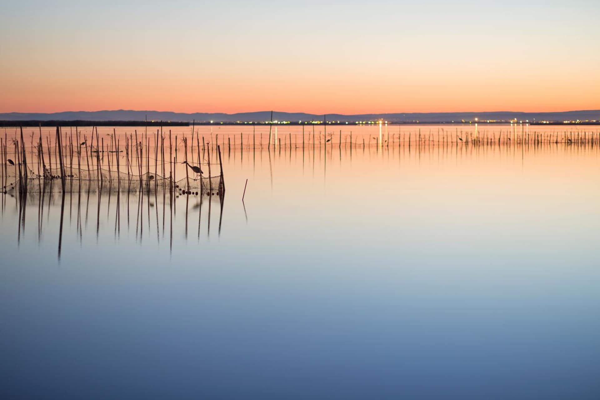 Aparthotel Albufera