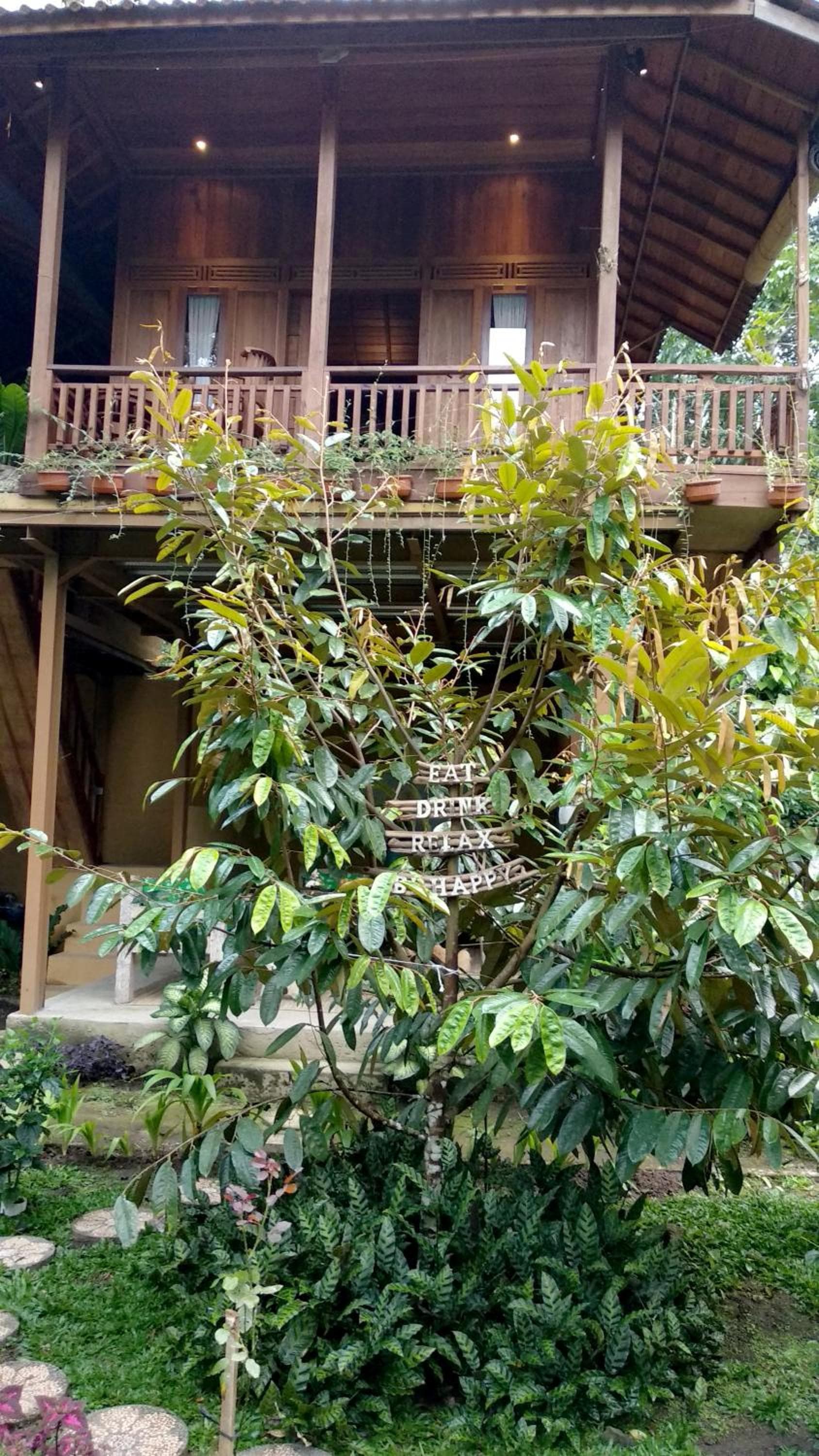Jungle Joglo