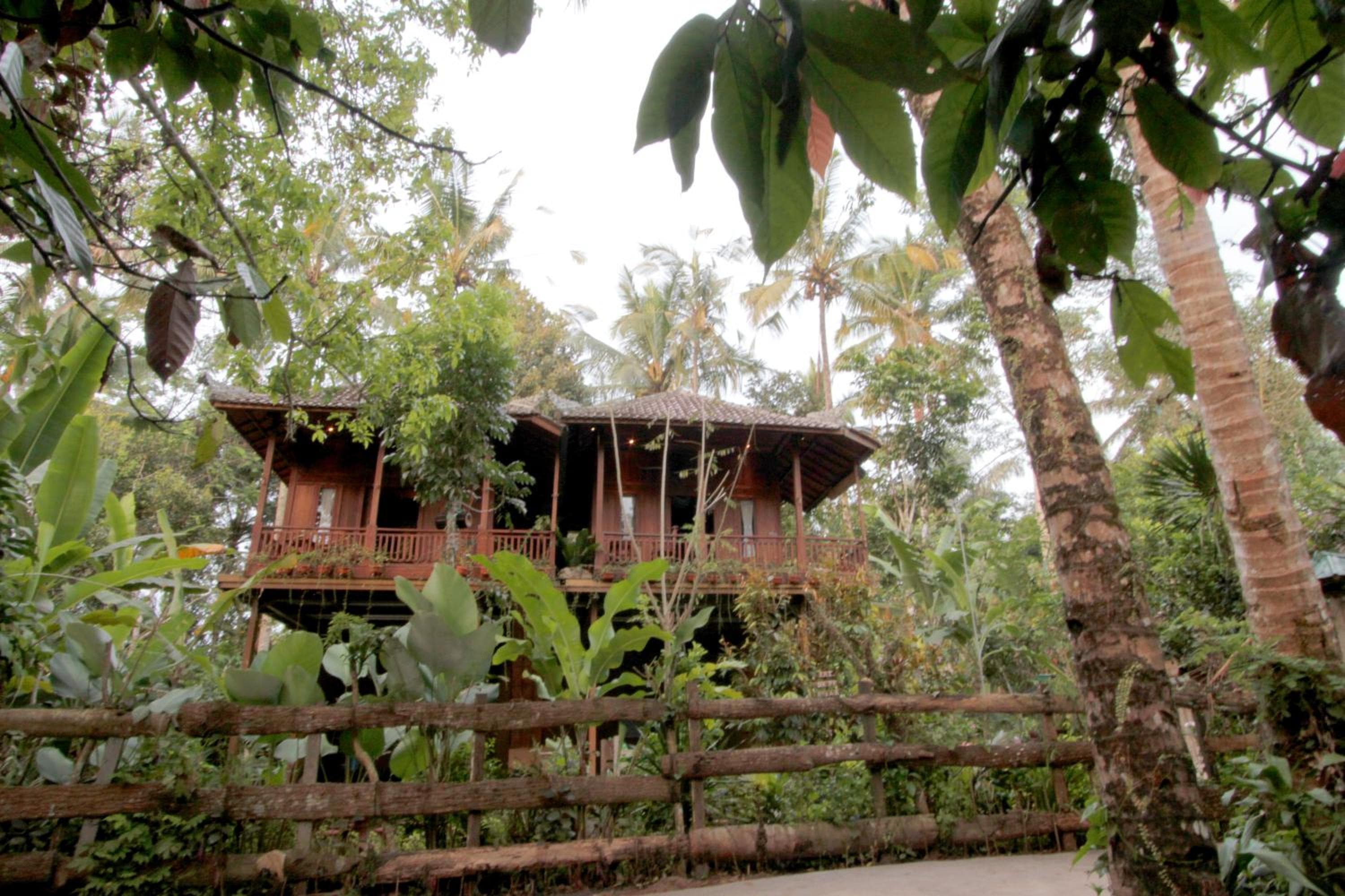 Jungle Joglo