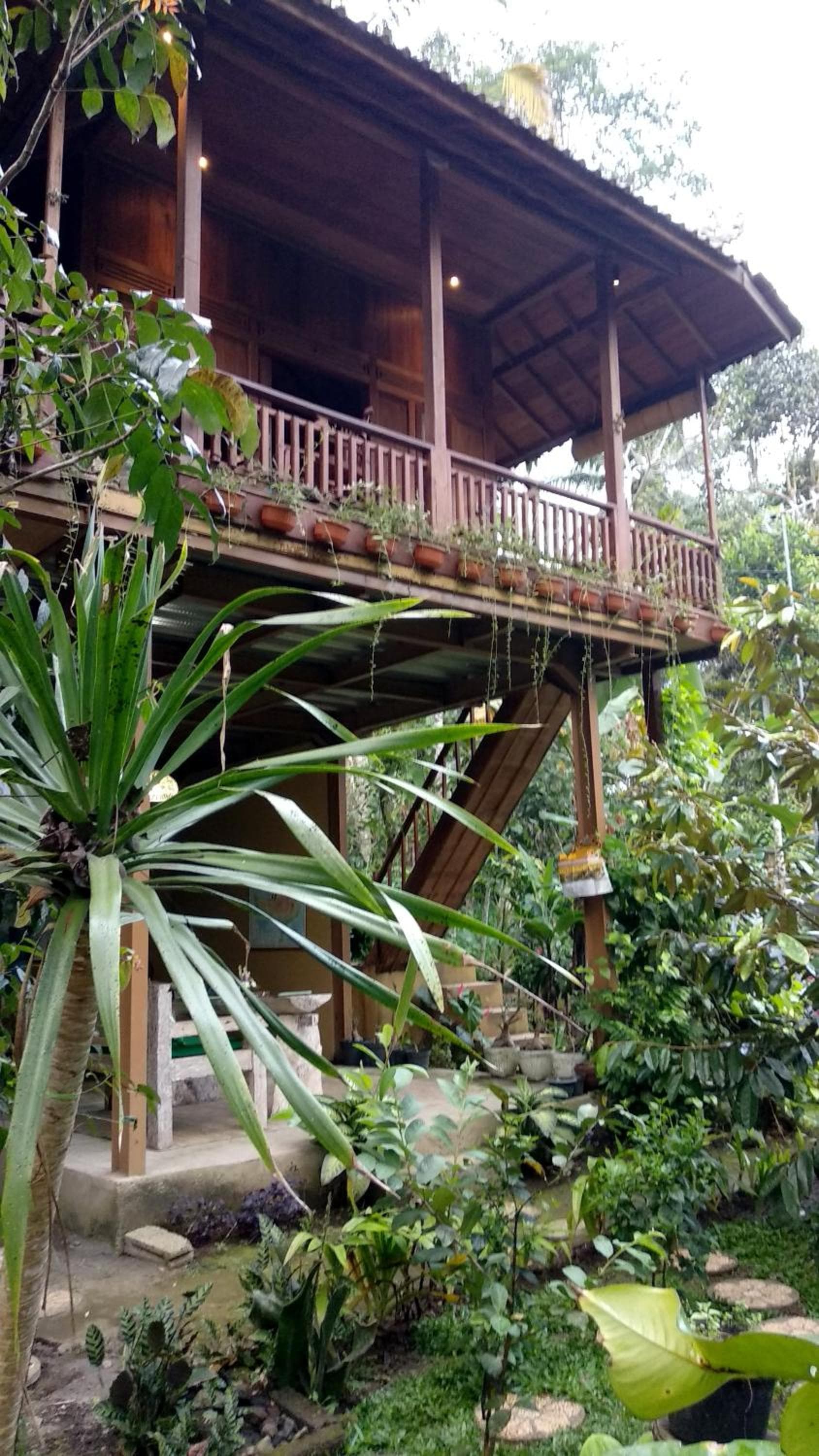 Jungle Joglo