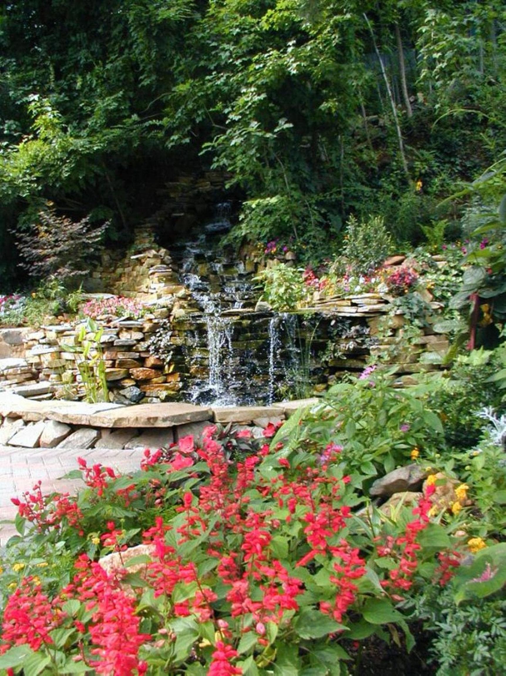 Black Forest Bed & Breakfast