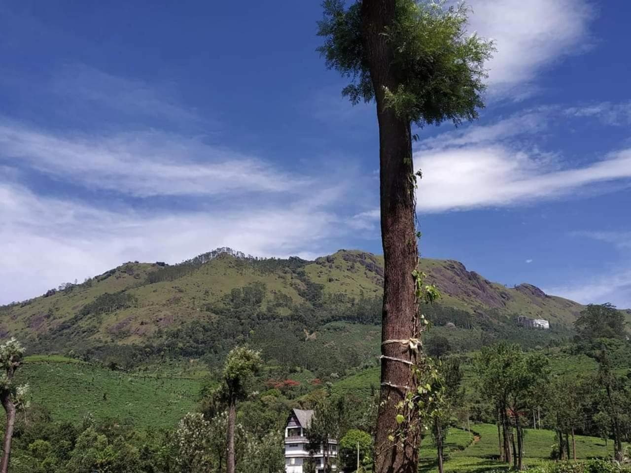 Gruenberg Tea Plantation Haus
