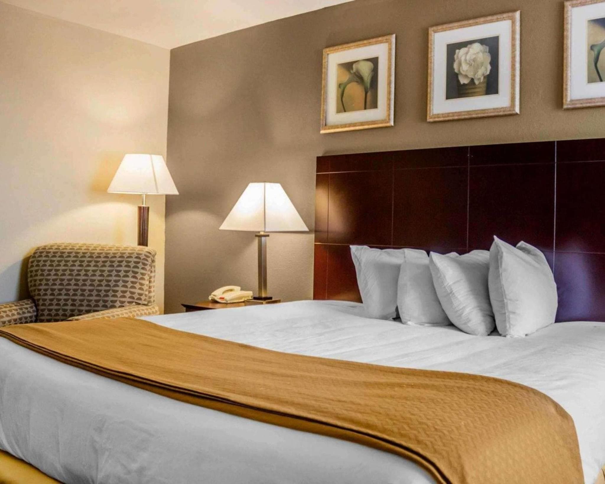 Quality Inn Waterbury East