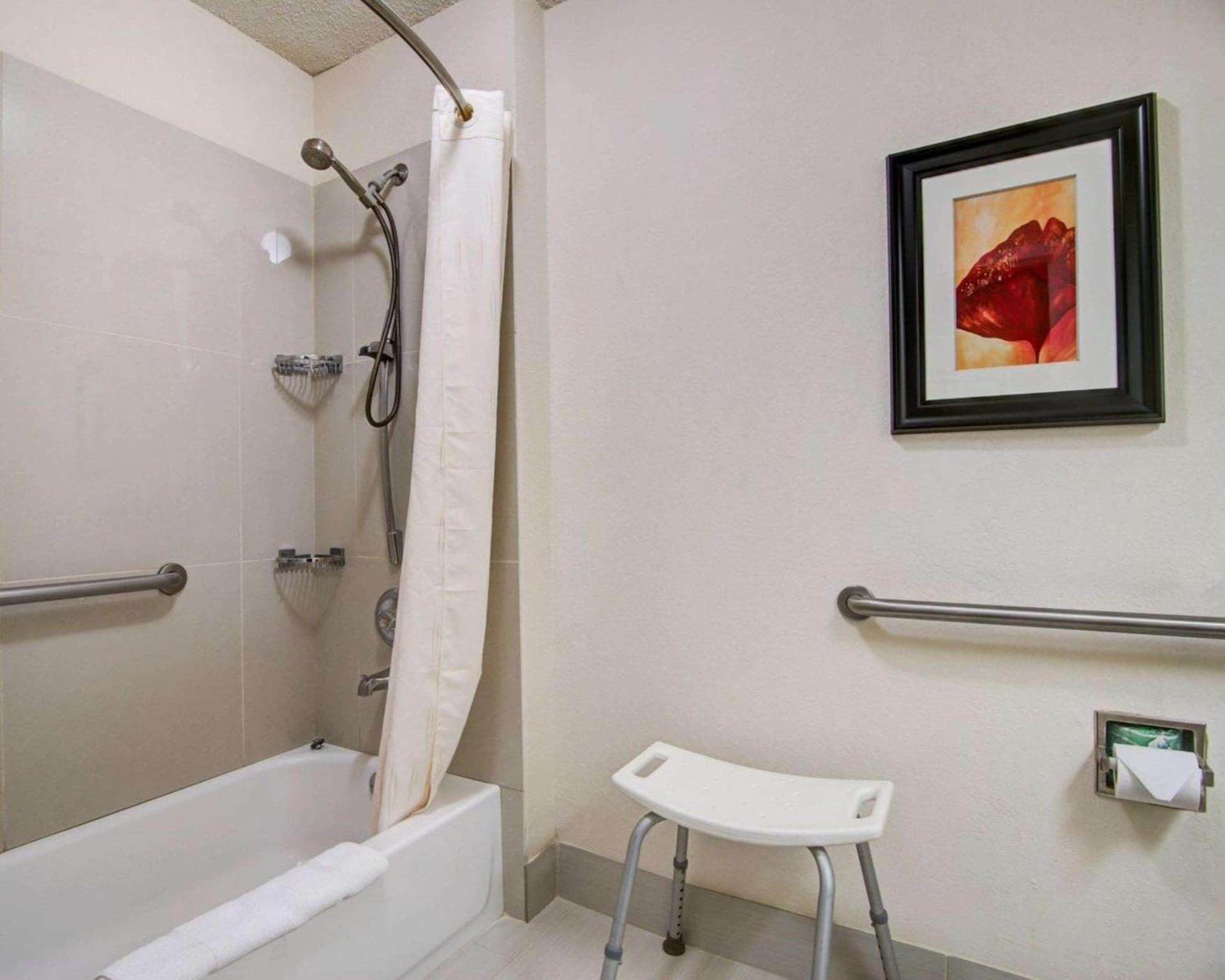 Comfort Suites Northside Hospital Gwinnett