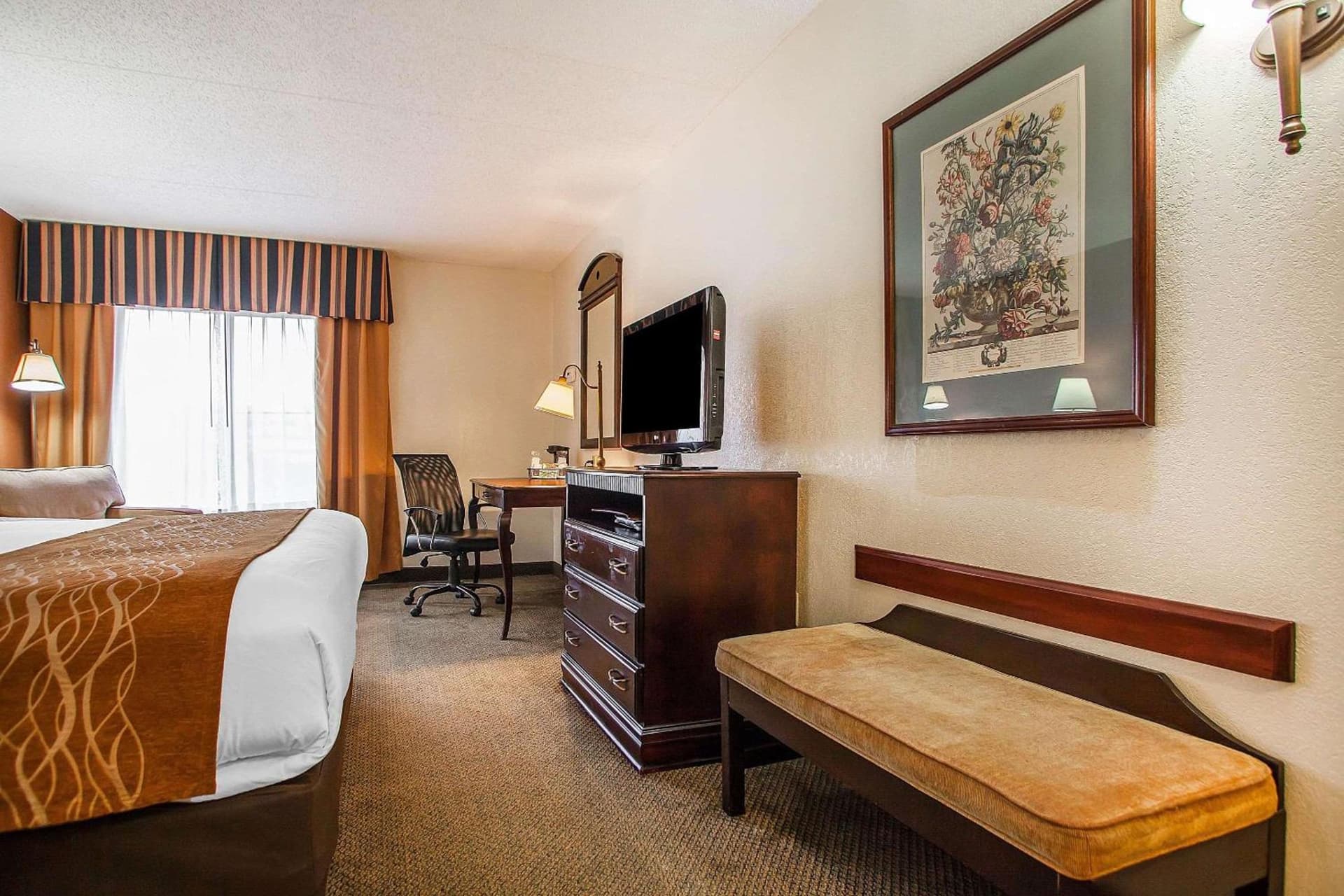 Comfort Inn & Suites Somerset - New Brunswick
