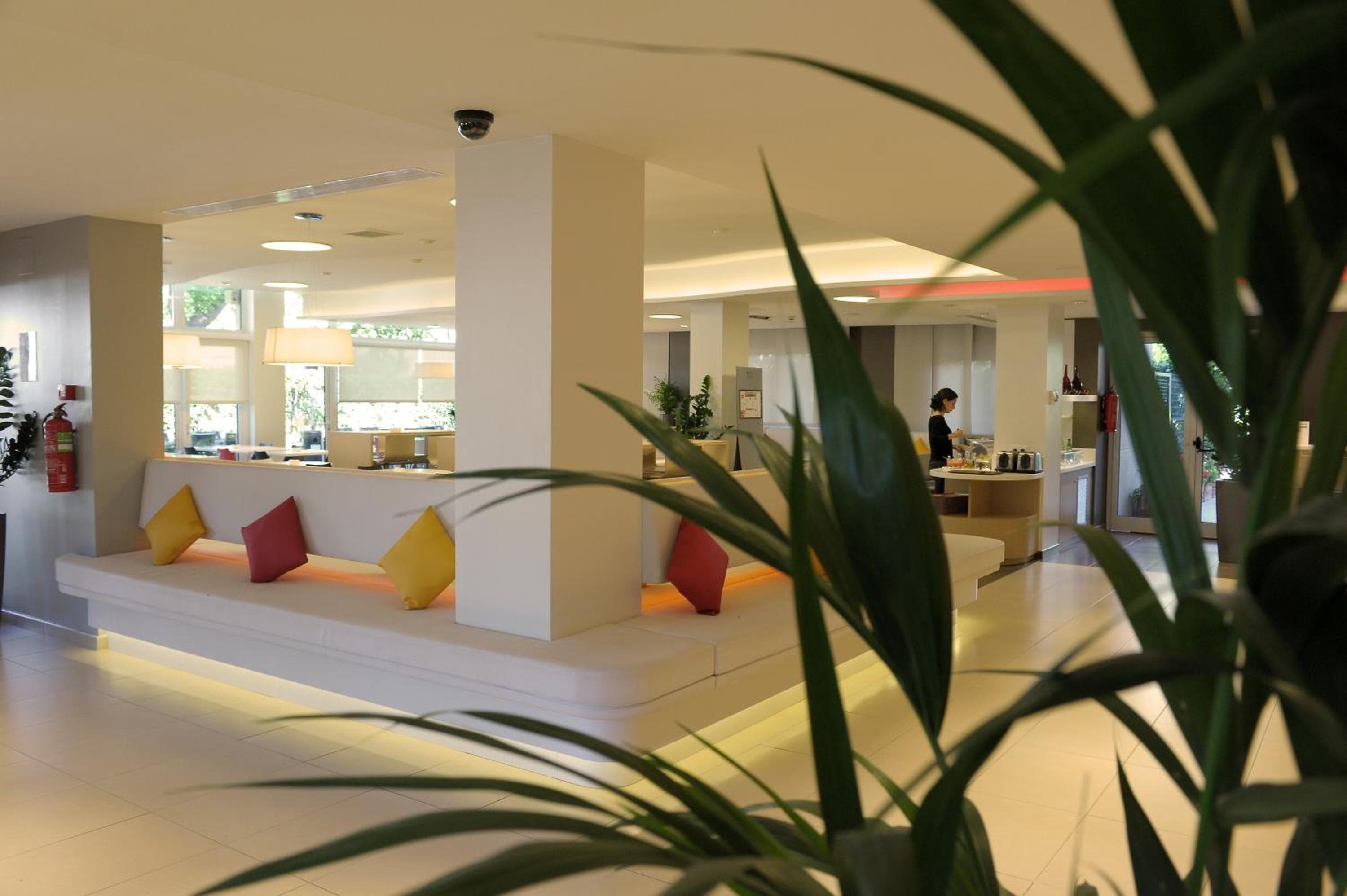 Ibis Cornella