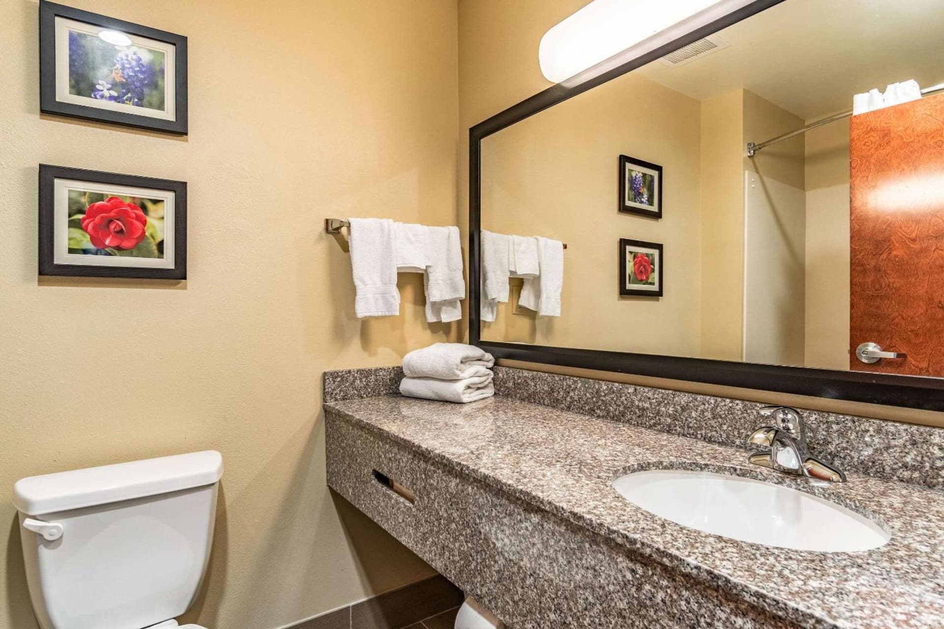 Comfort Inn & Suites Tuscumbia-Muscle Shoals