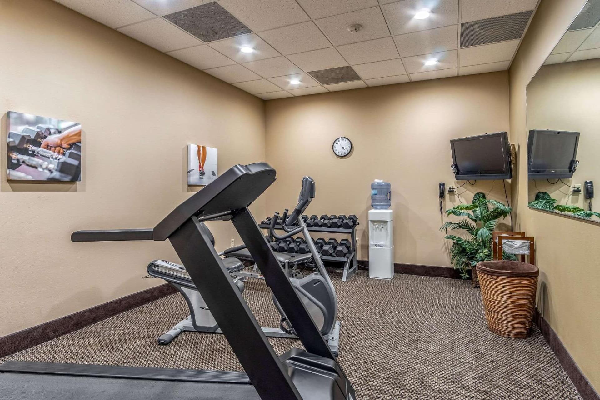 Comfort Inn & Suites Tuscumbia-Muscle Shoals