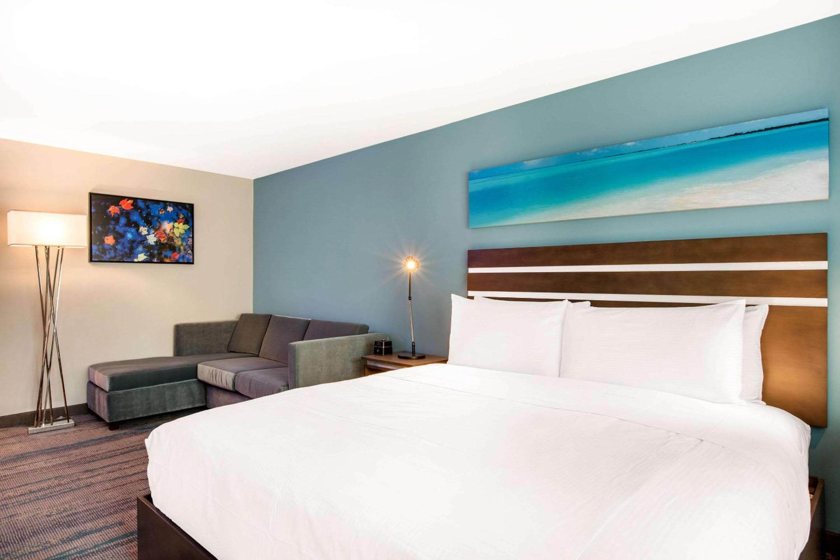 The Cove Hotel